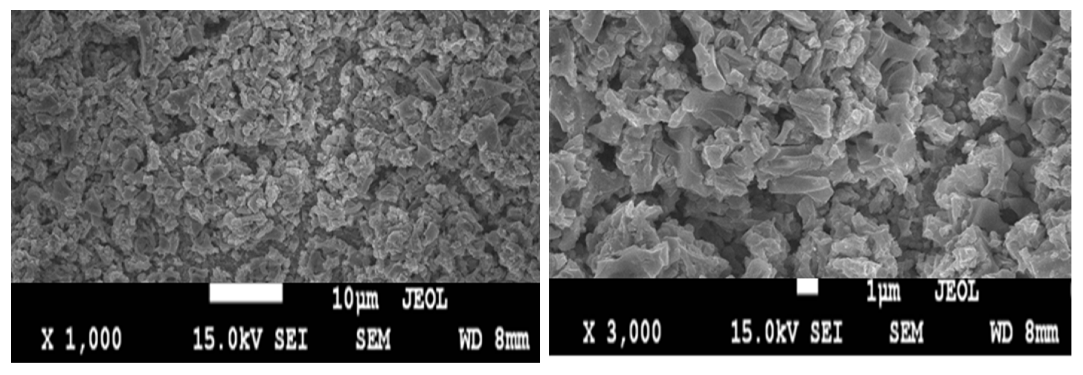 Catalysts 15 01171 g001