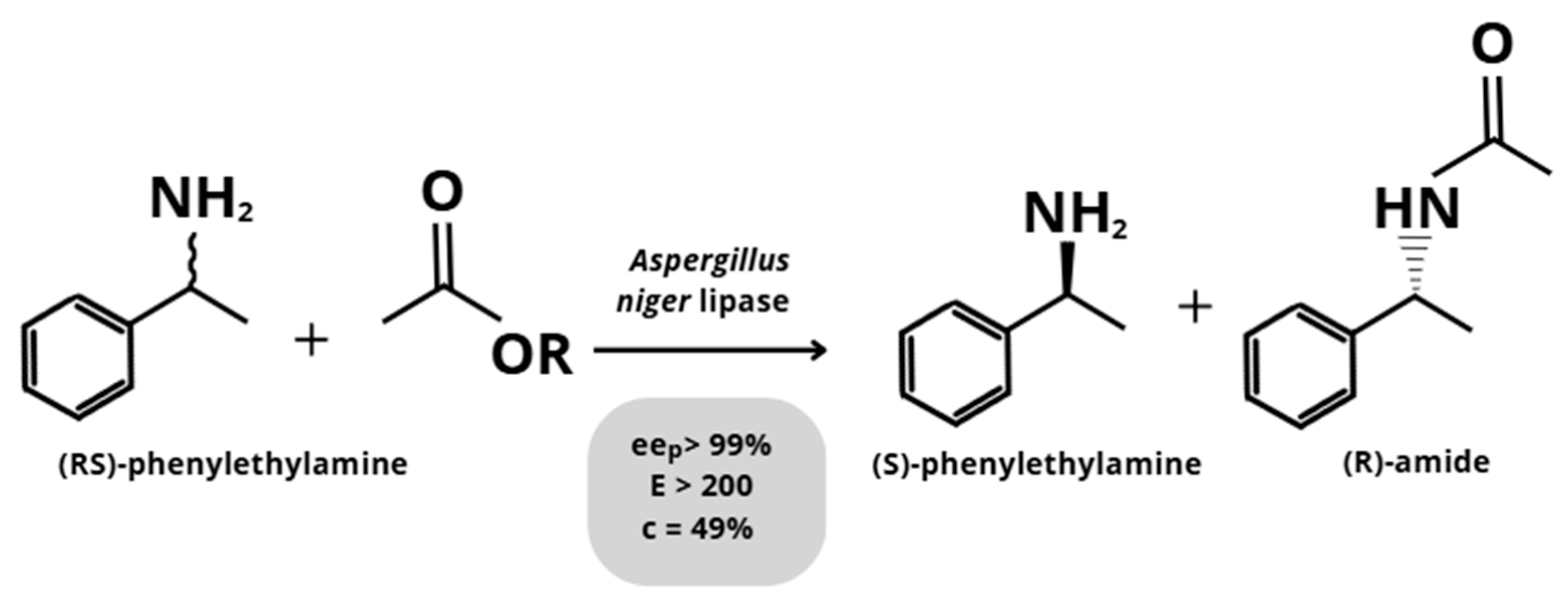 Catalysts 15 01174 g002 Catalysts 15 01174 g002