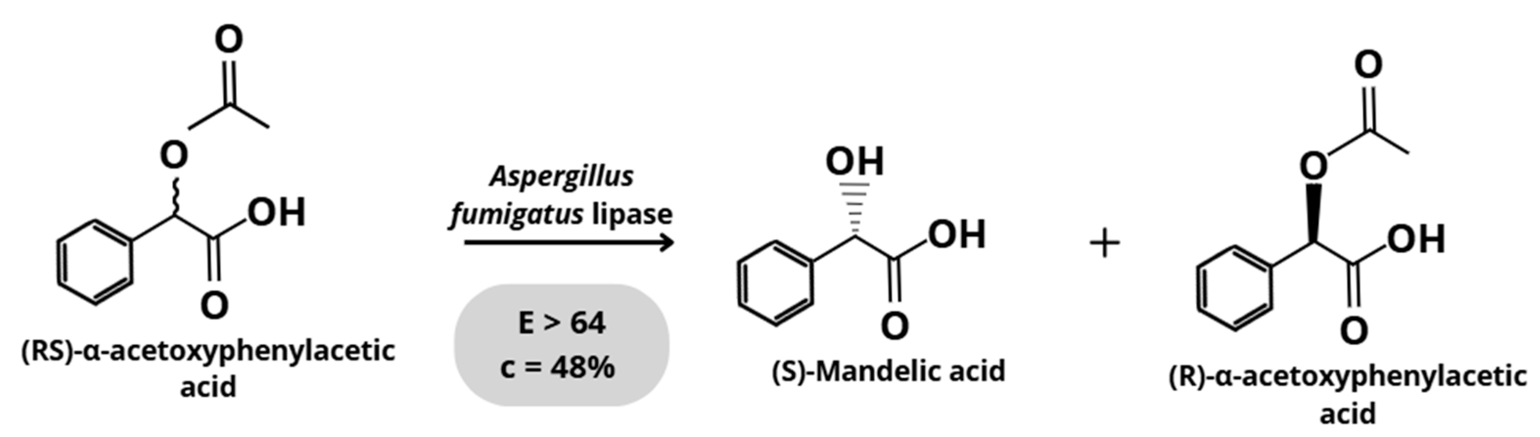 Catalysts 15 01174 g005 Catalysts 15 01174 g005