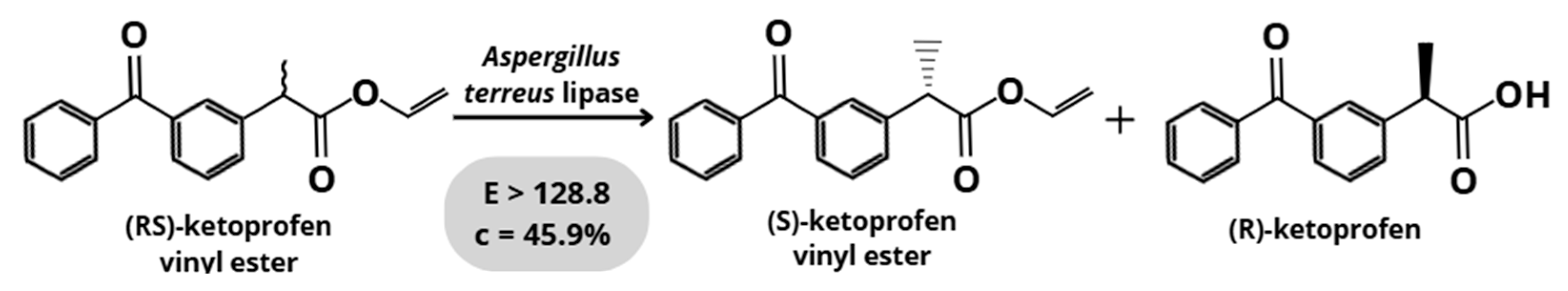 Catalysts 15 01174 g006 Catalysts 15 01174 g006