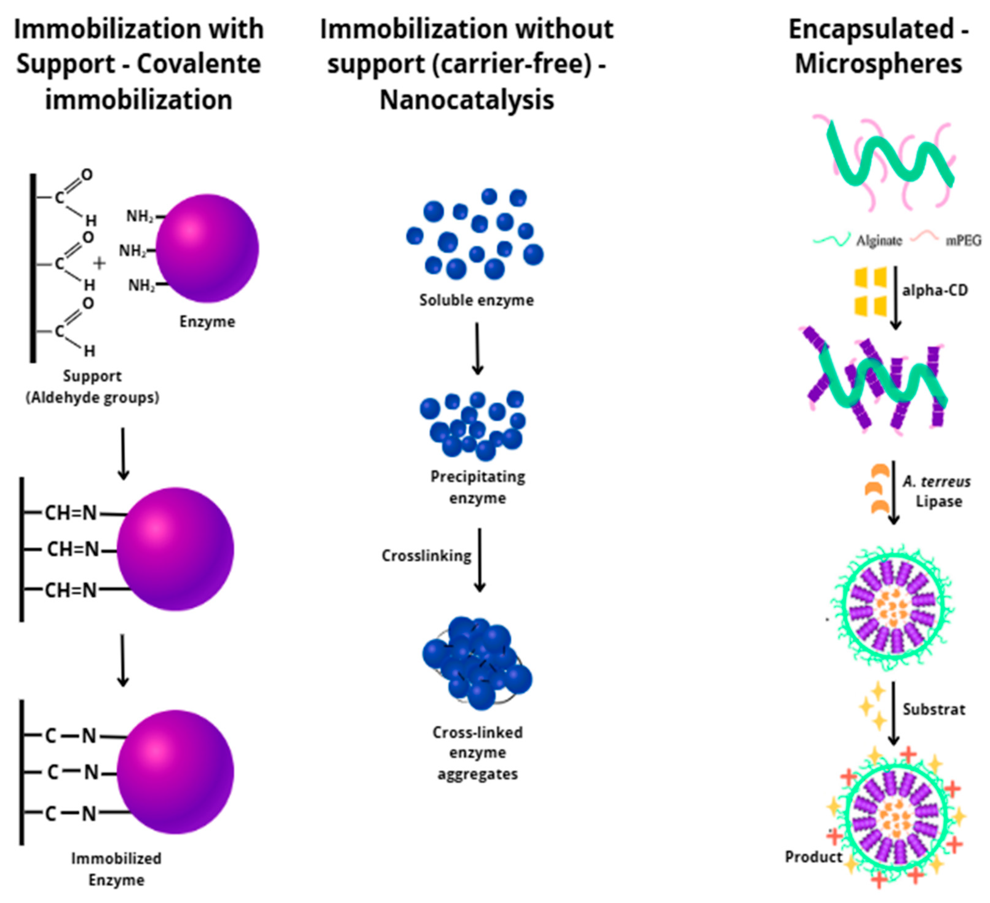 Catalysts 15 01174 g008a Catalysts 15 01174 g008a