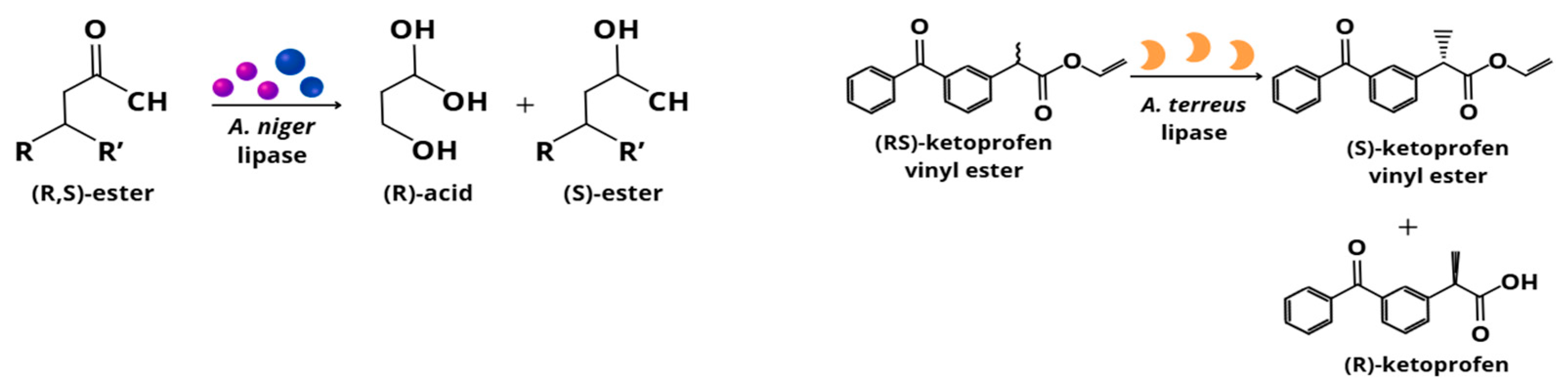 Catalysts 15 01174 g008b Catalysts 15 01174 g008b
