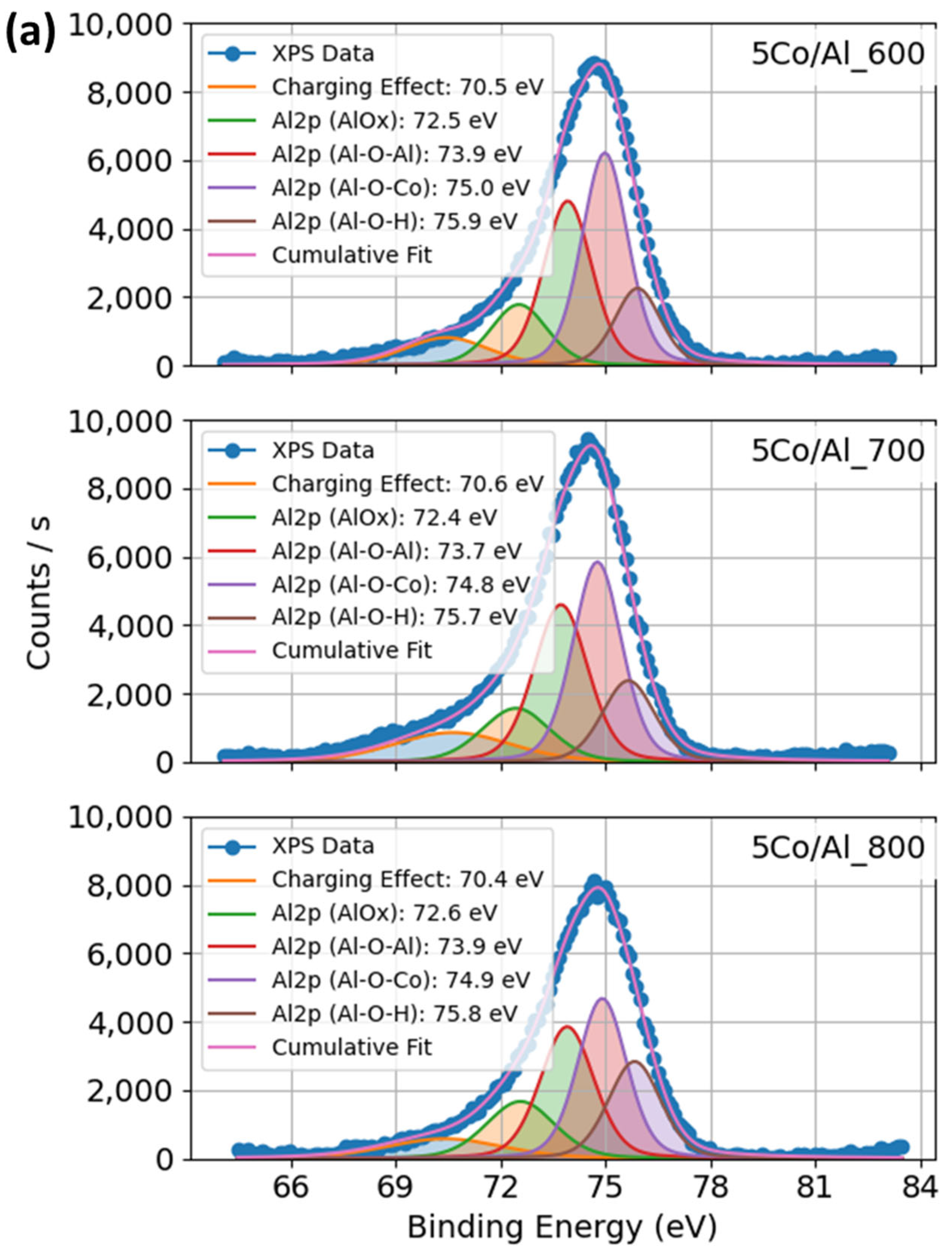 Catalysts 15 01176 g005a Catalysts 15 01176 g005a