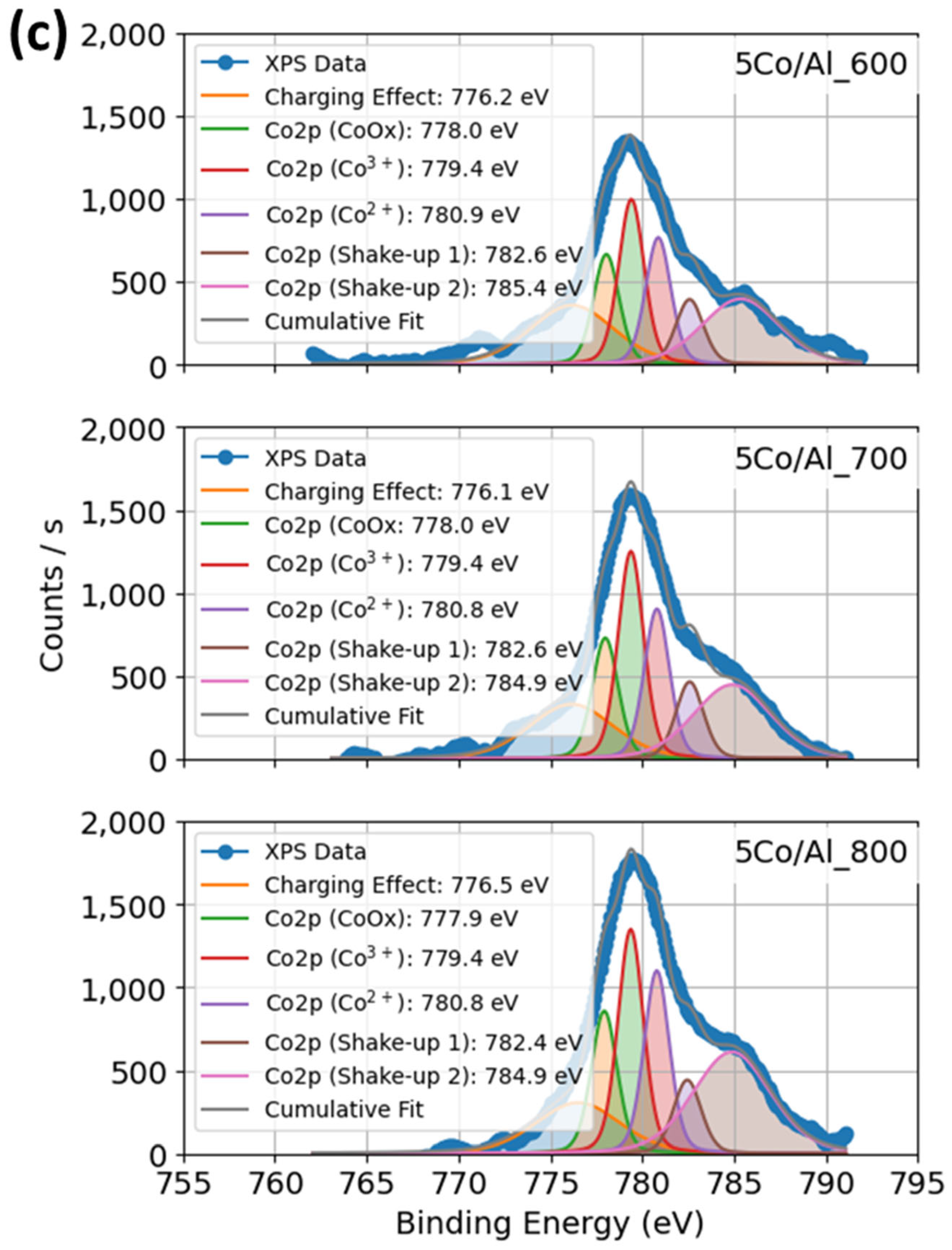 Catalysts 15 01176 g005c Catalysts 15 01176 g005c