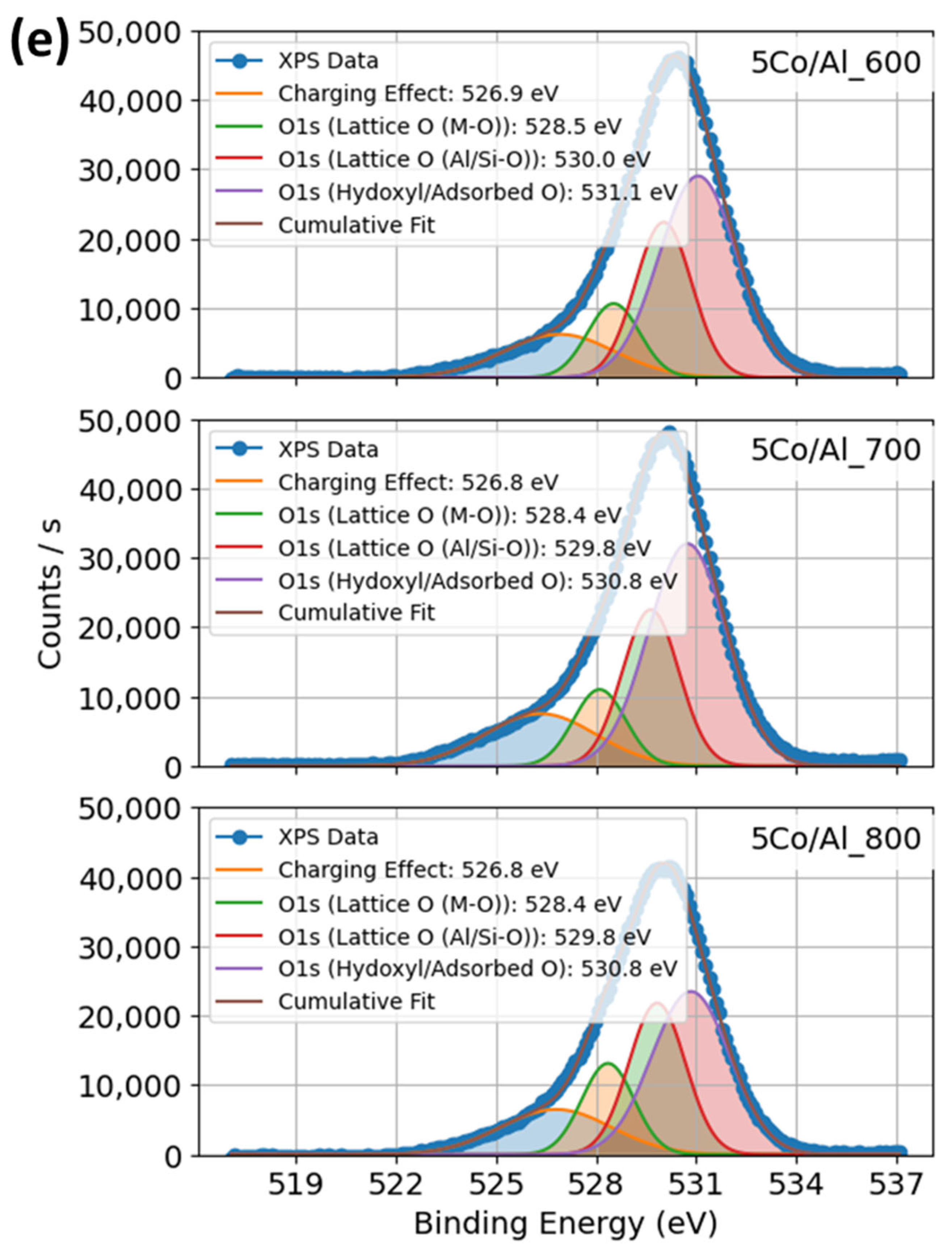 Catalysts 15 01176 g005e Catalysts 15 01176 g005e