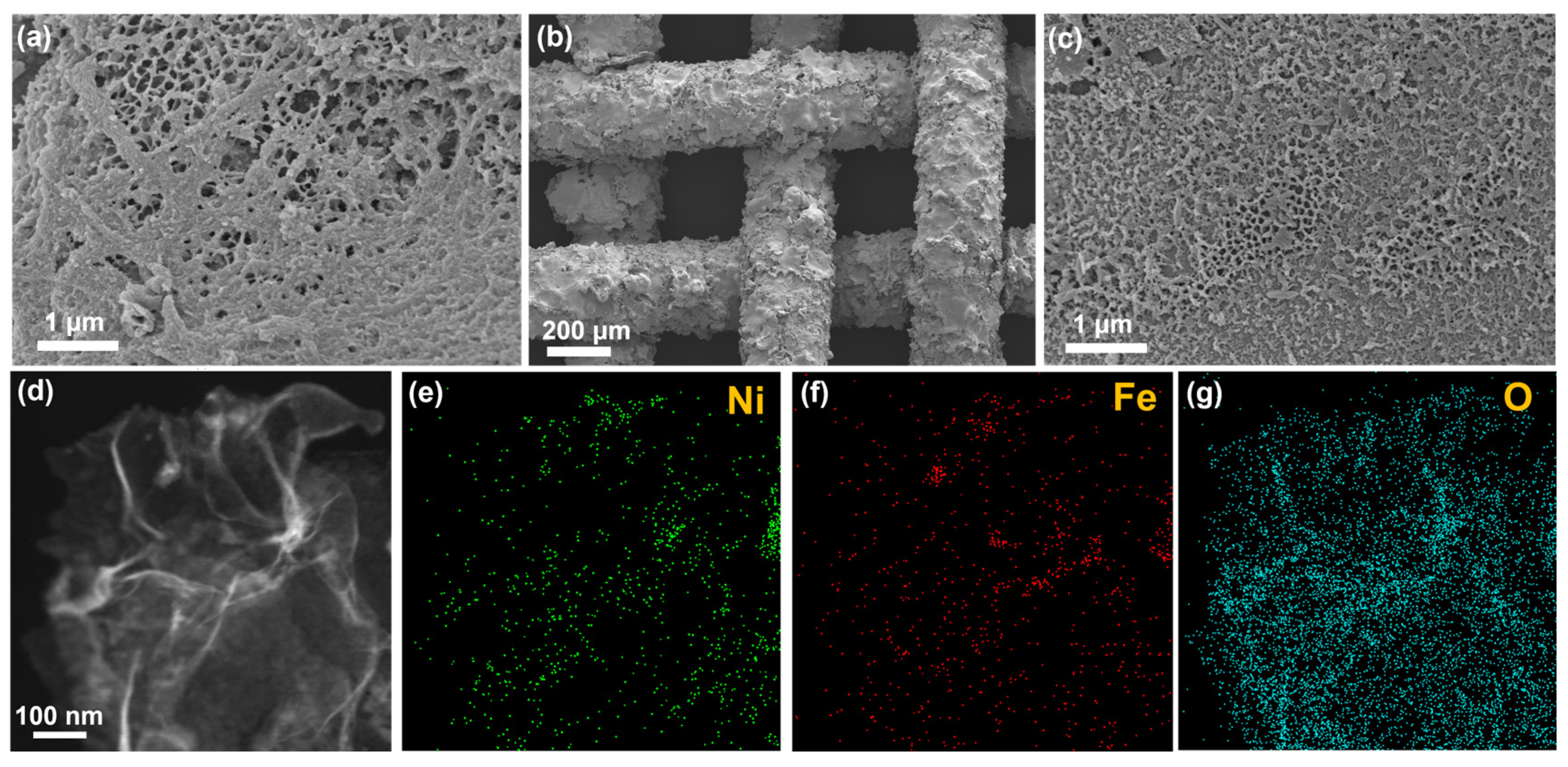 Catalysts 16 00008 g001