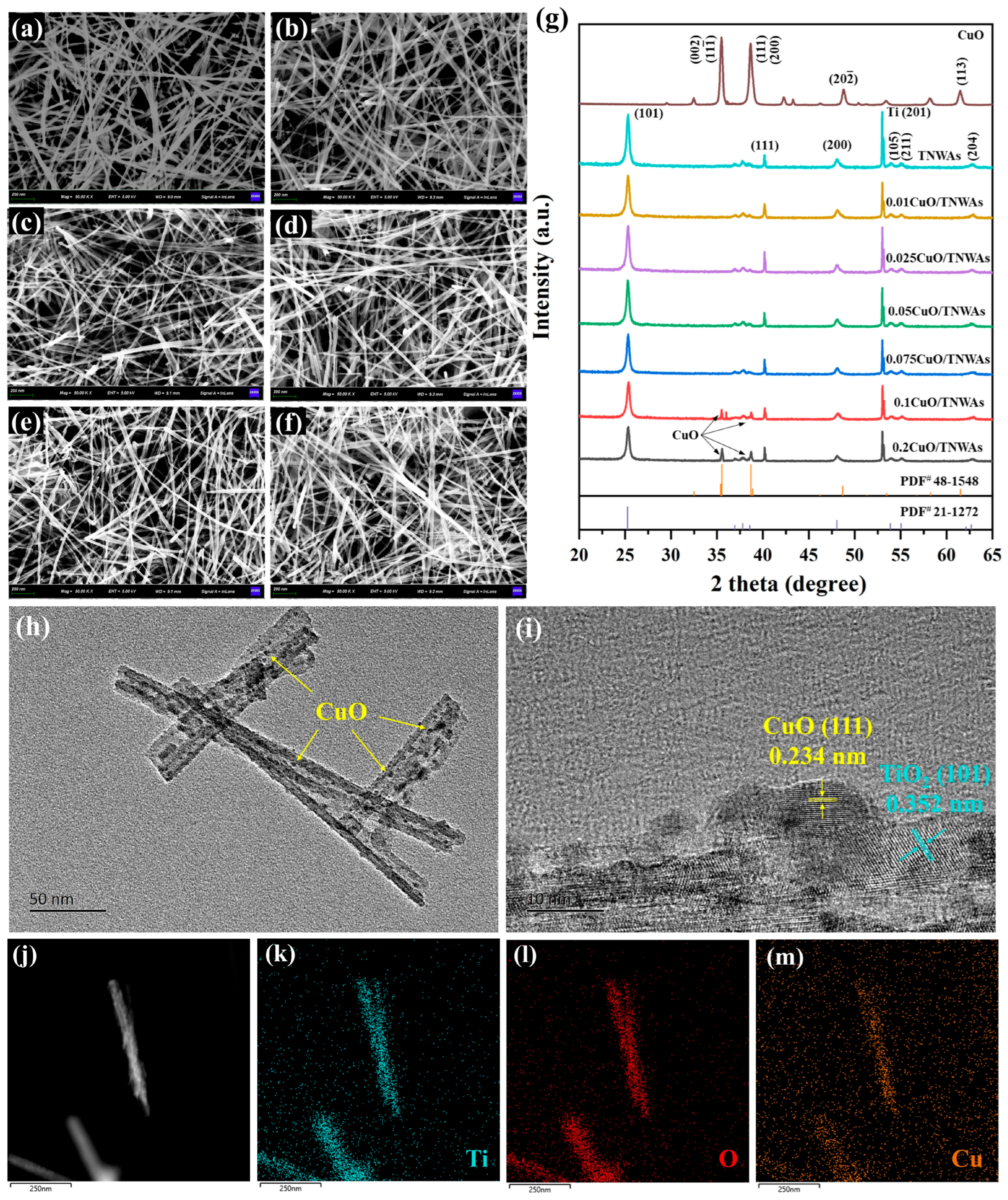 Catalysts 16 00023 g002