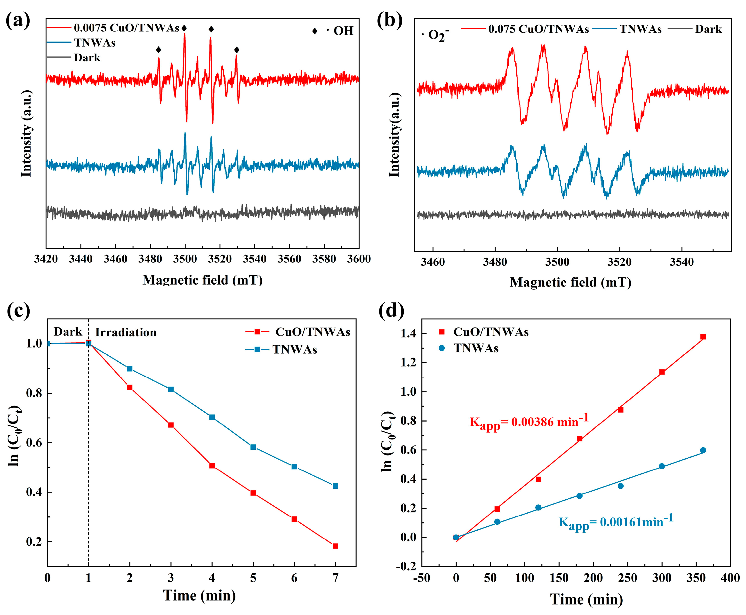 Catalysts 16 00023 g005