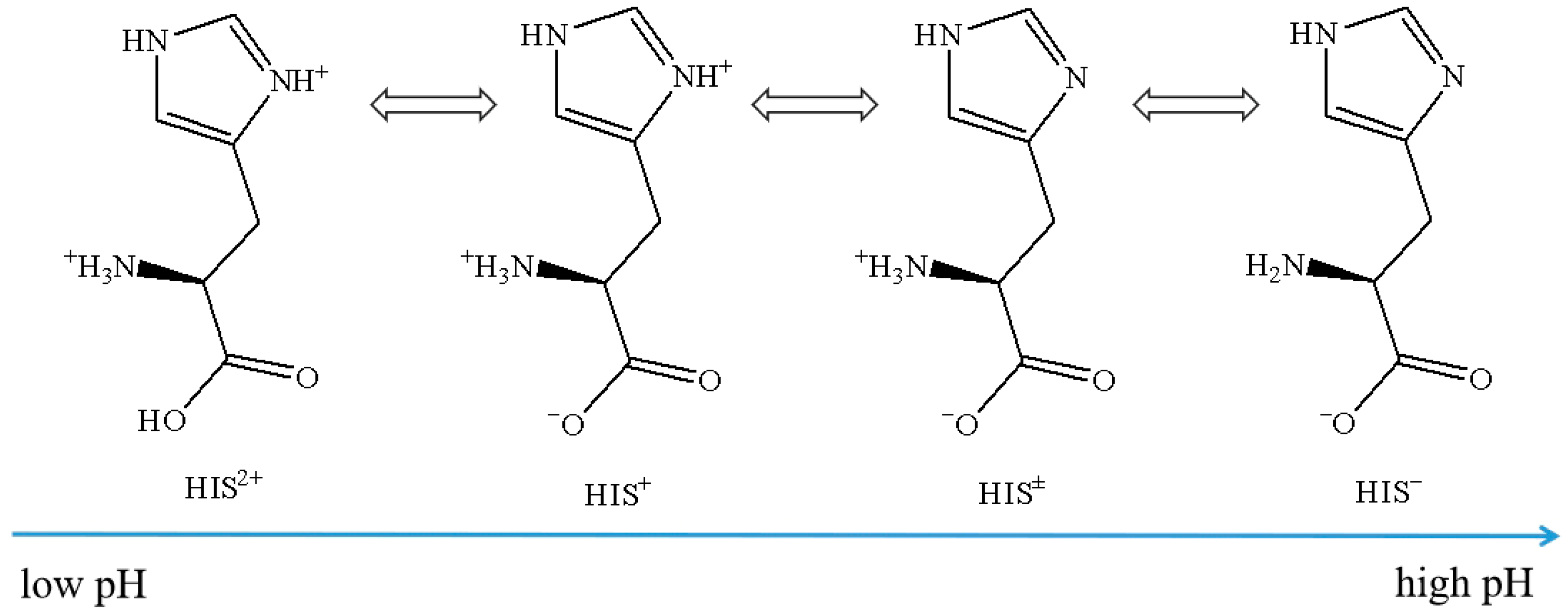 Catalysts 16 00024 g001