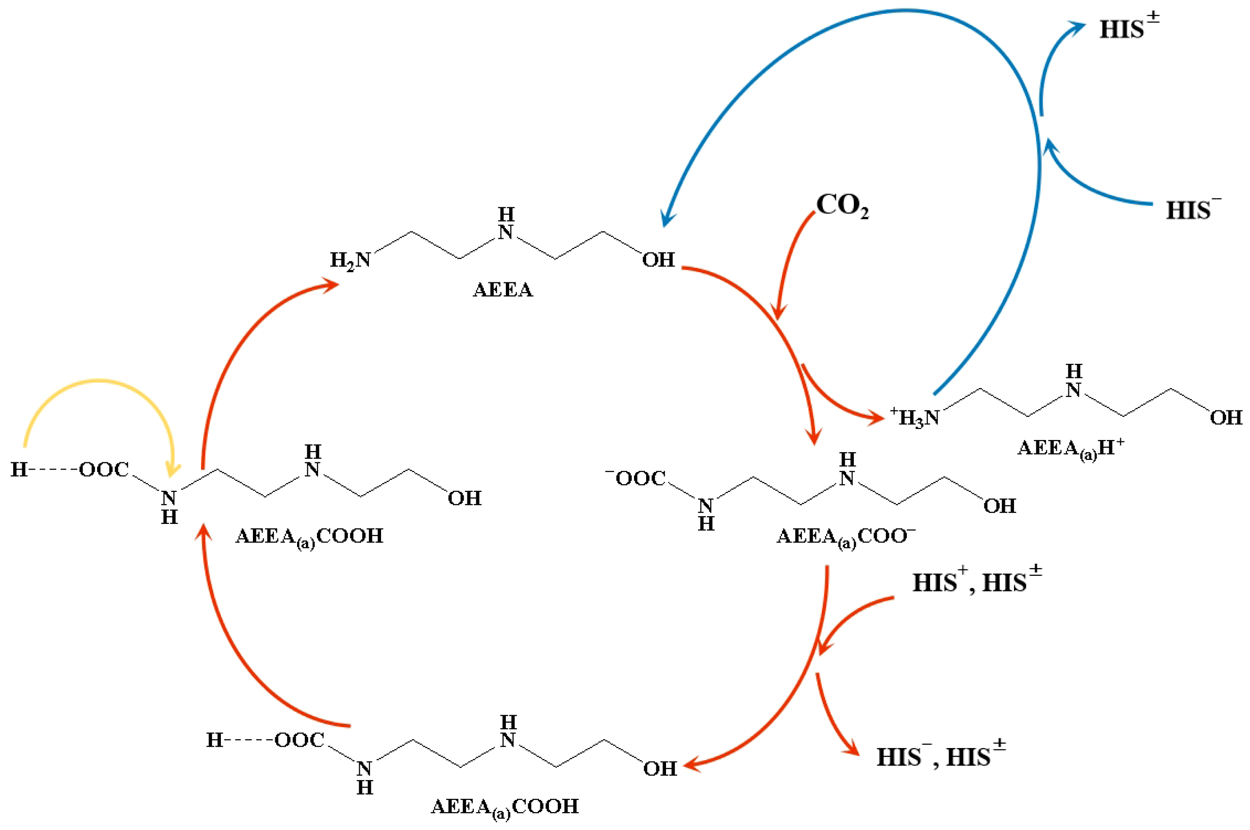 Catalysts 16 00024 g011
