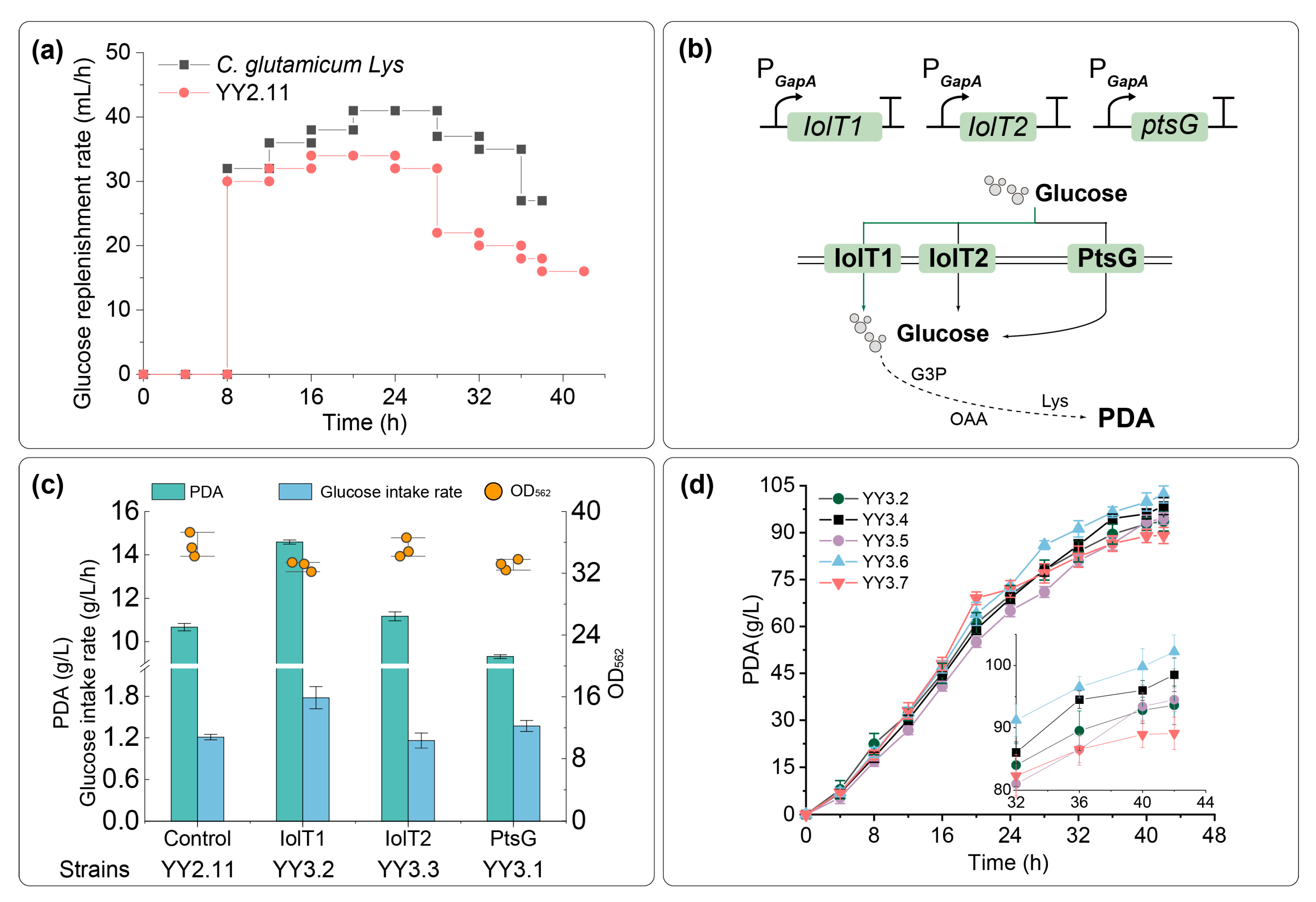Catalysts 16 00030 g005