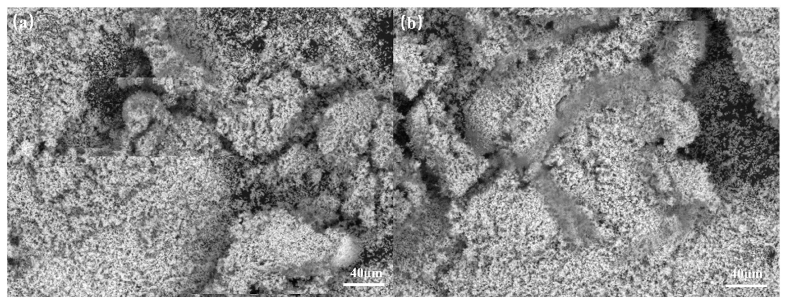 Catalysts 16 00032 g004