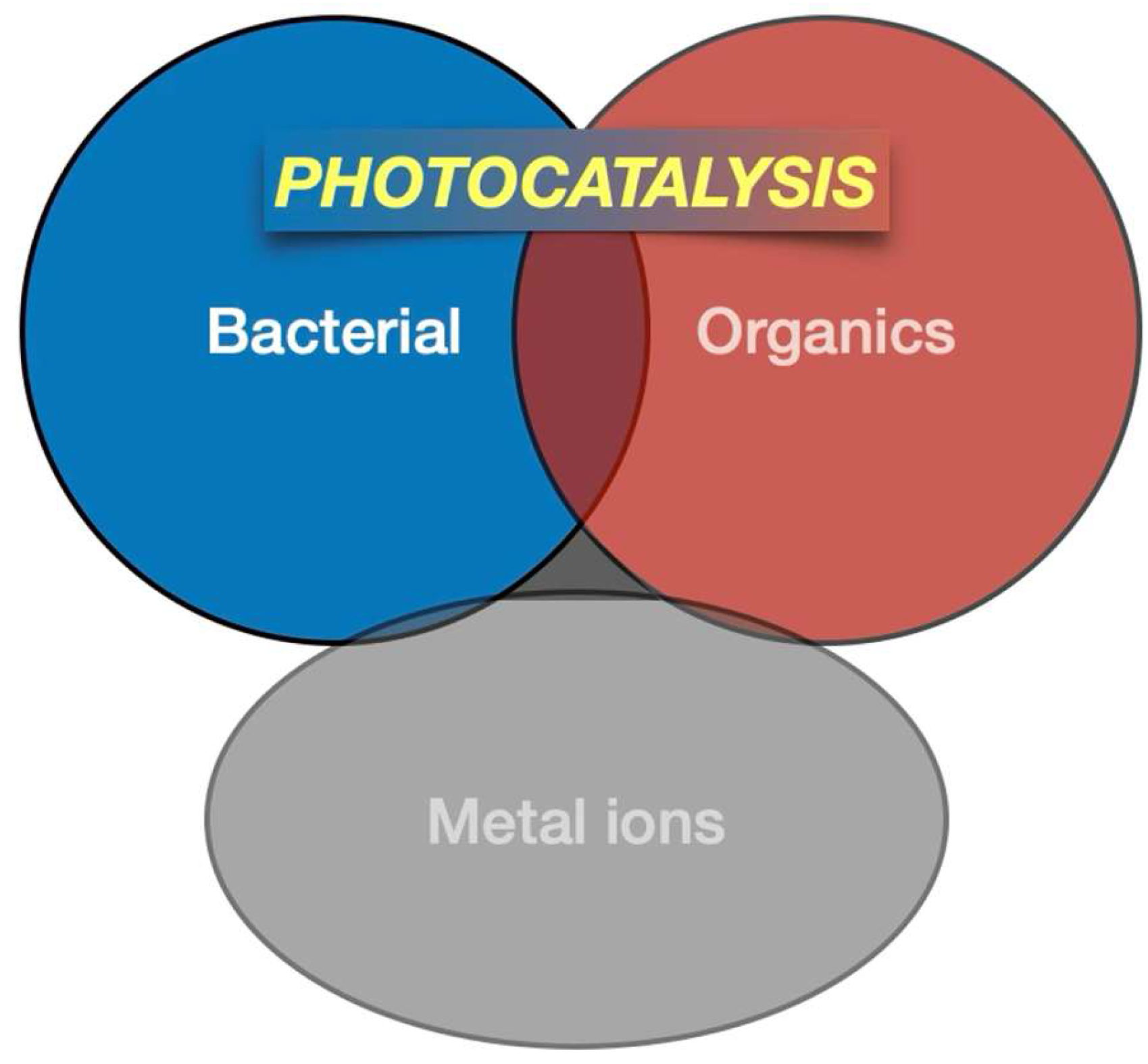 Catalysts 16 00035 g001 Catalysts 16 00035 g001