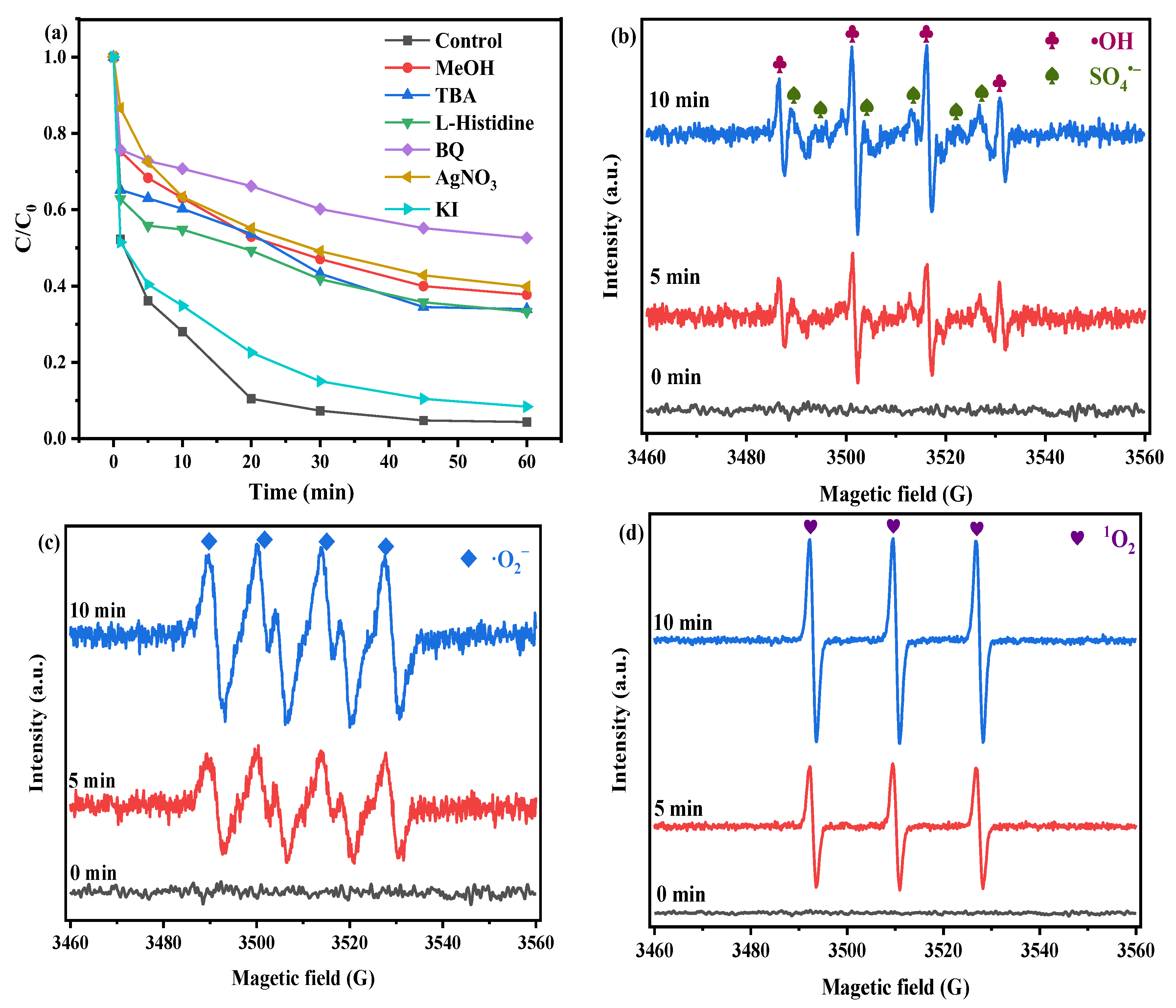 Catalysts 16 00039 g006 Catalysts 16 00039 g006