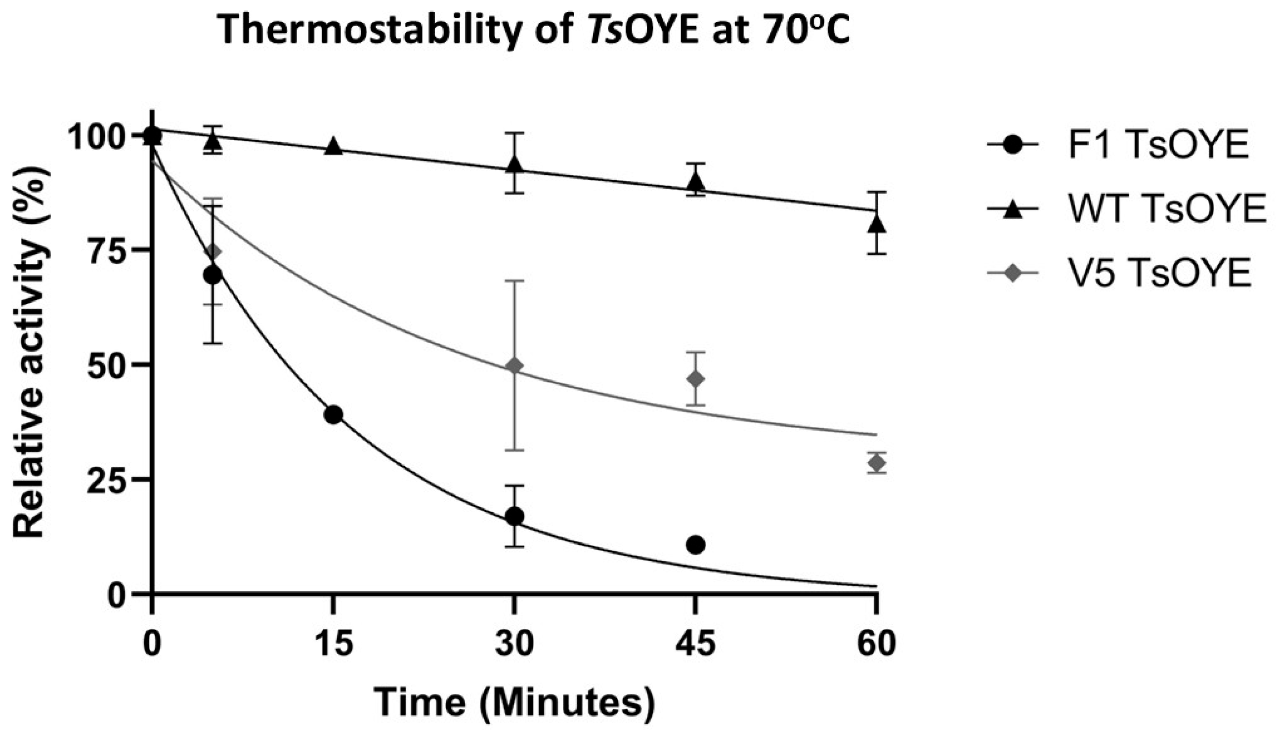 Catalysts 16 00042 g003