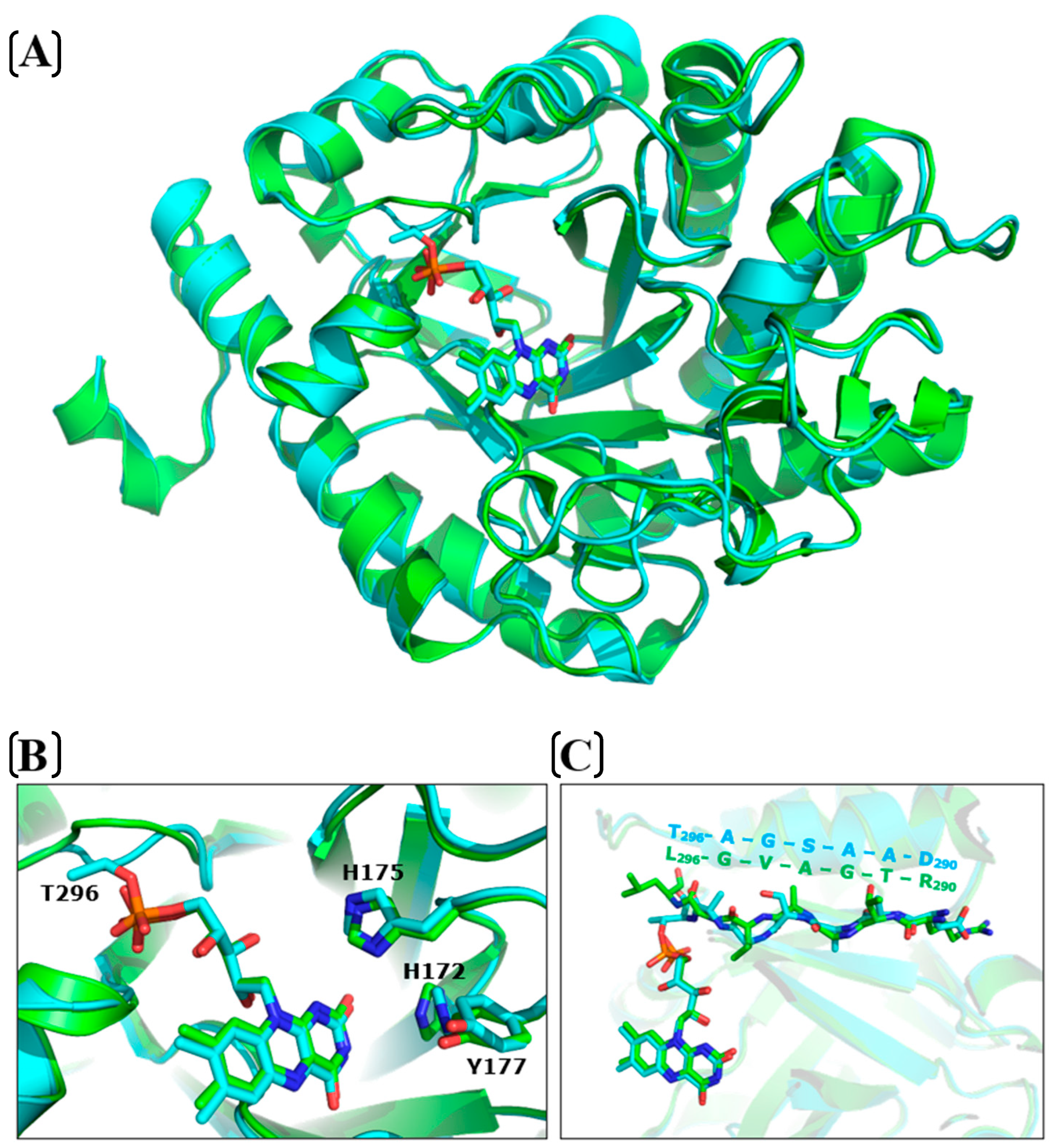 Catalysts 16 00042 g005