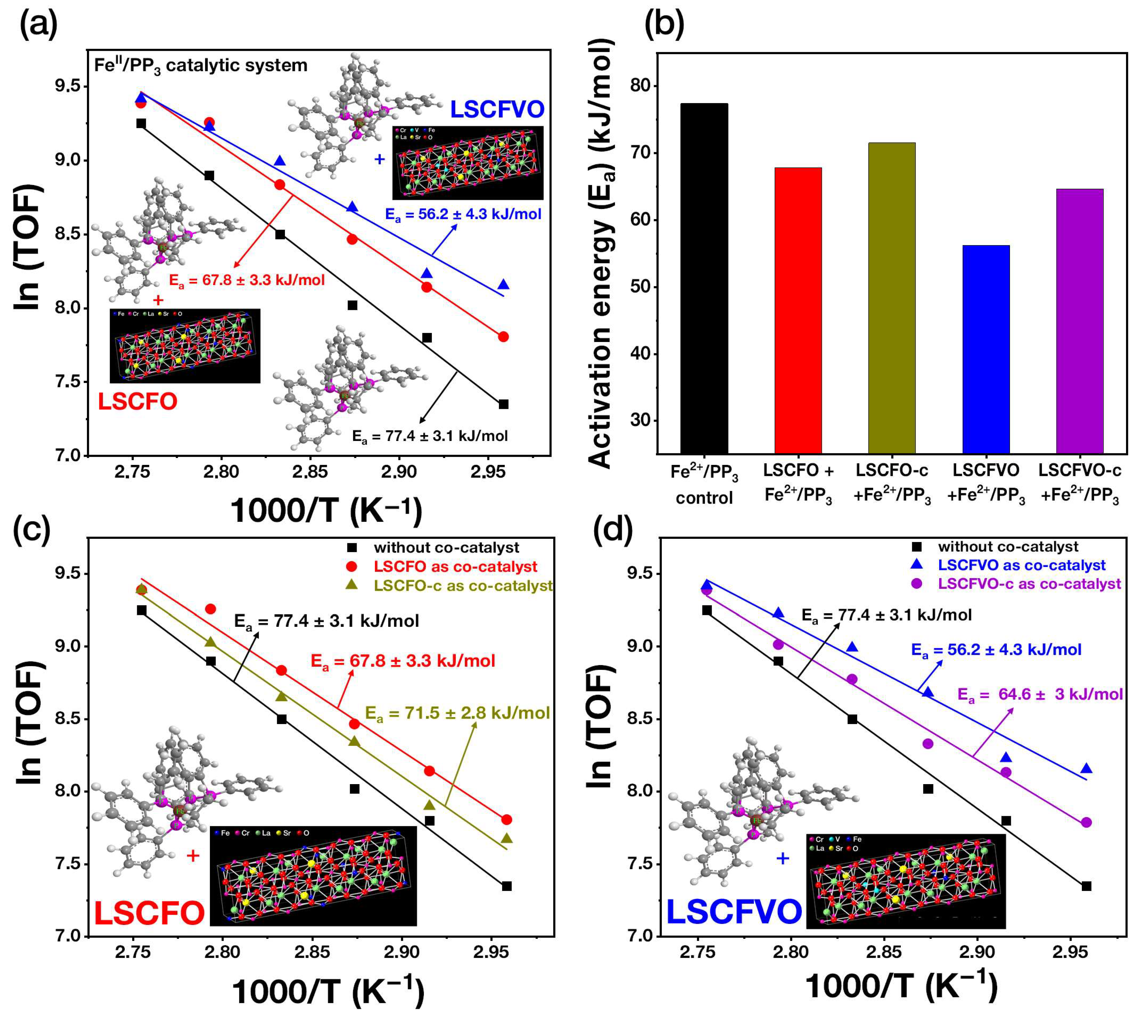 Catalysts 16 00044 g004