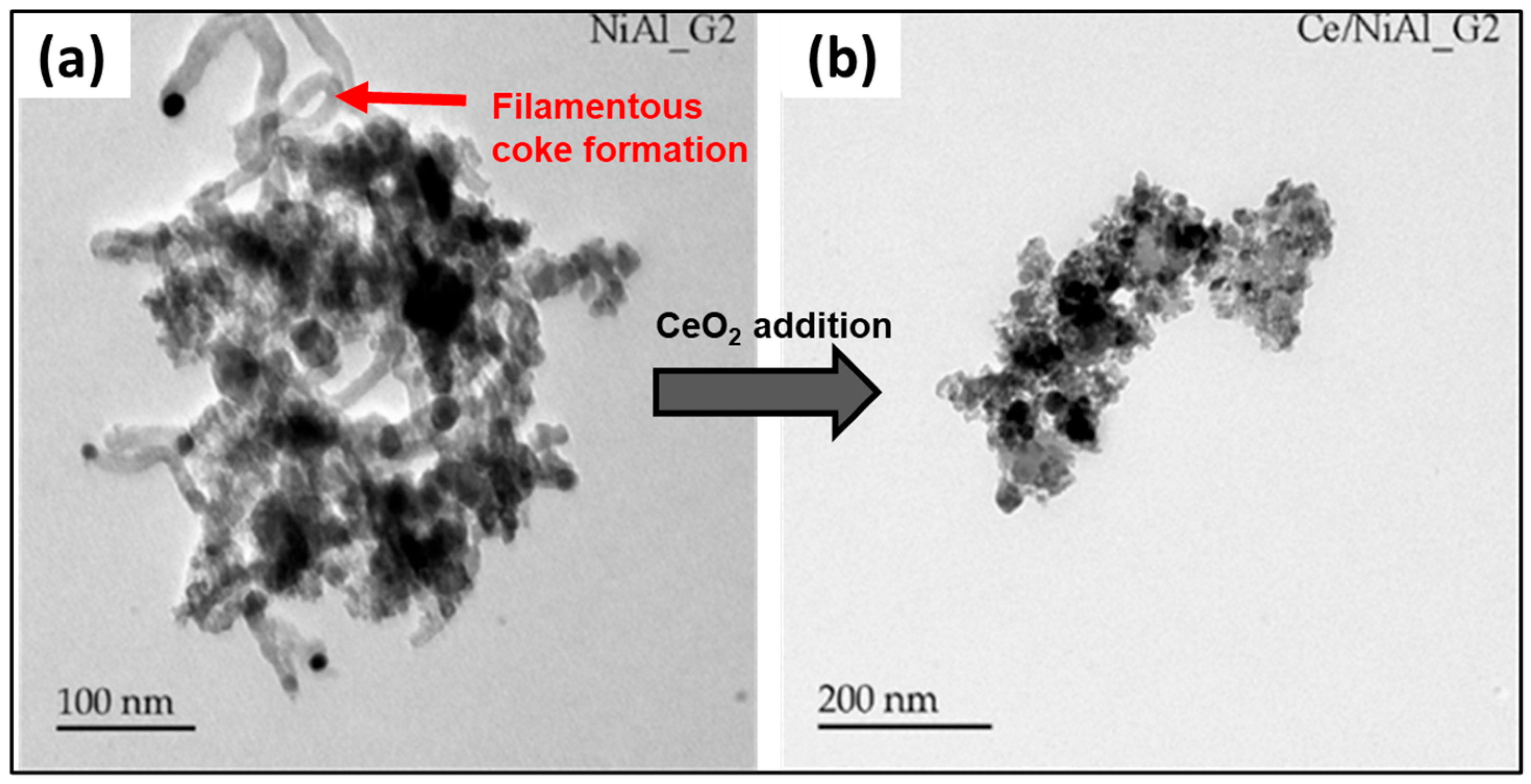Catalysts 16 00059 g005 Catalysts 16 00059 g005