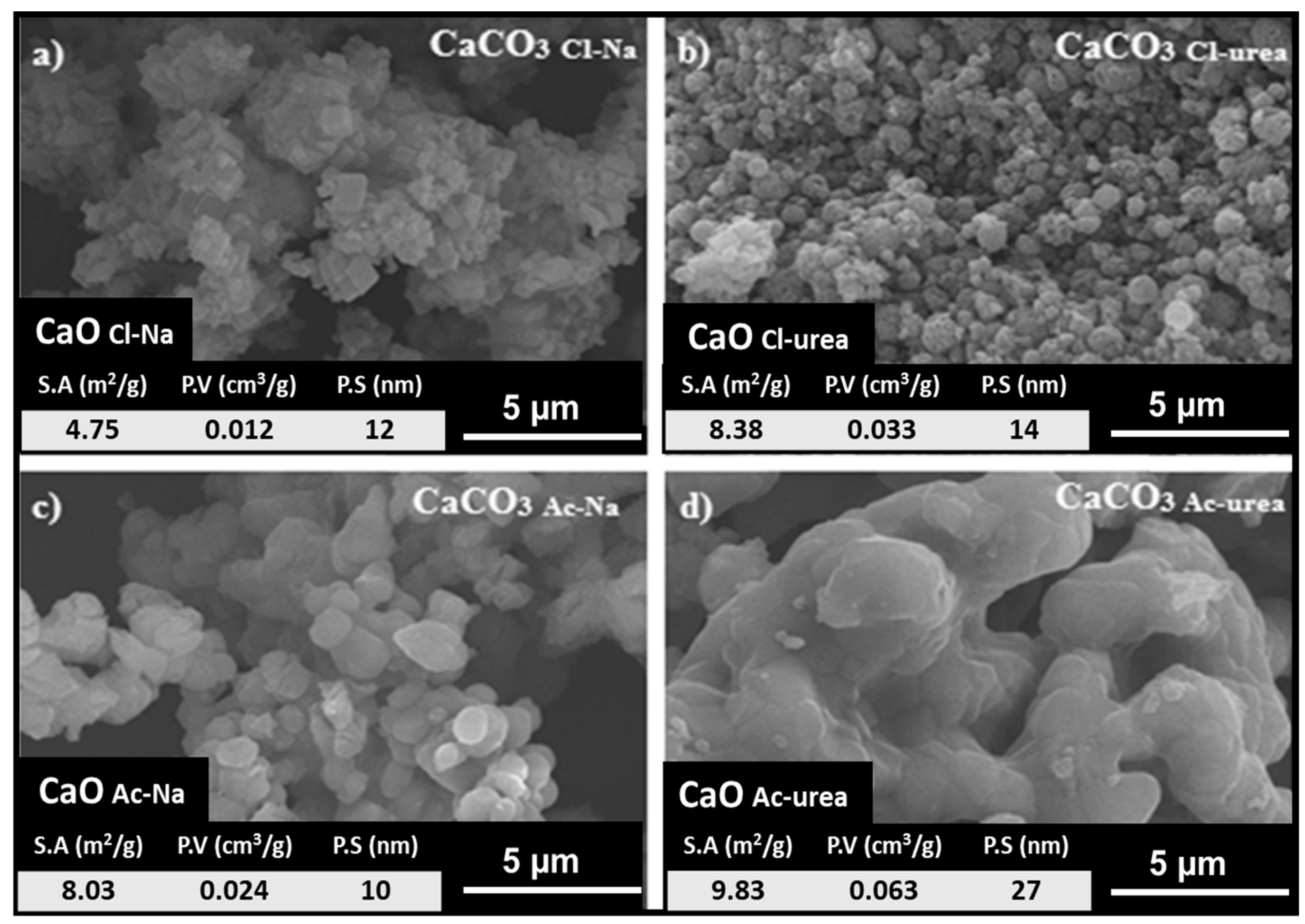 Catalysts 16 00059 g012 Catalysts 16 00059 g012