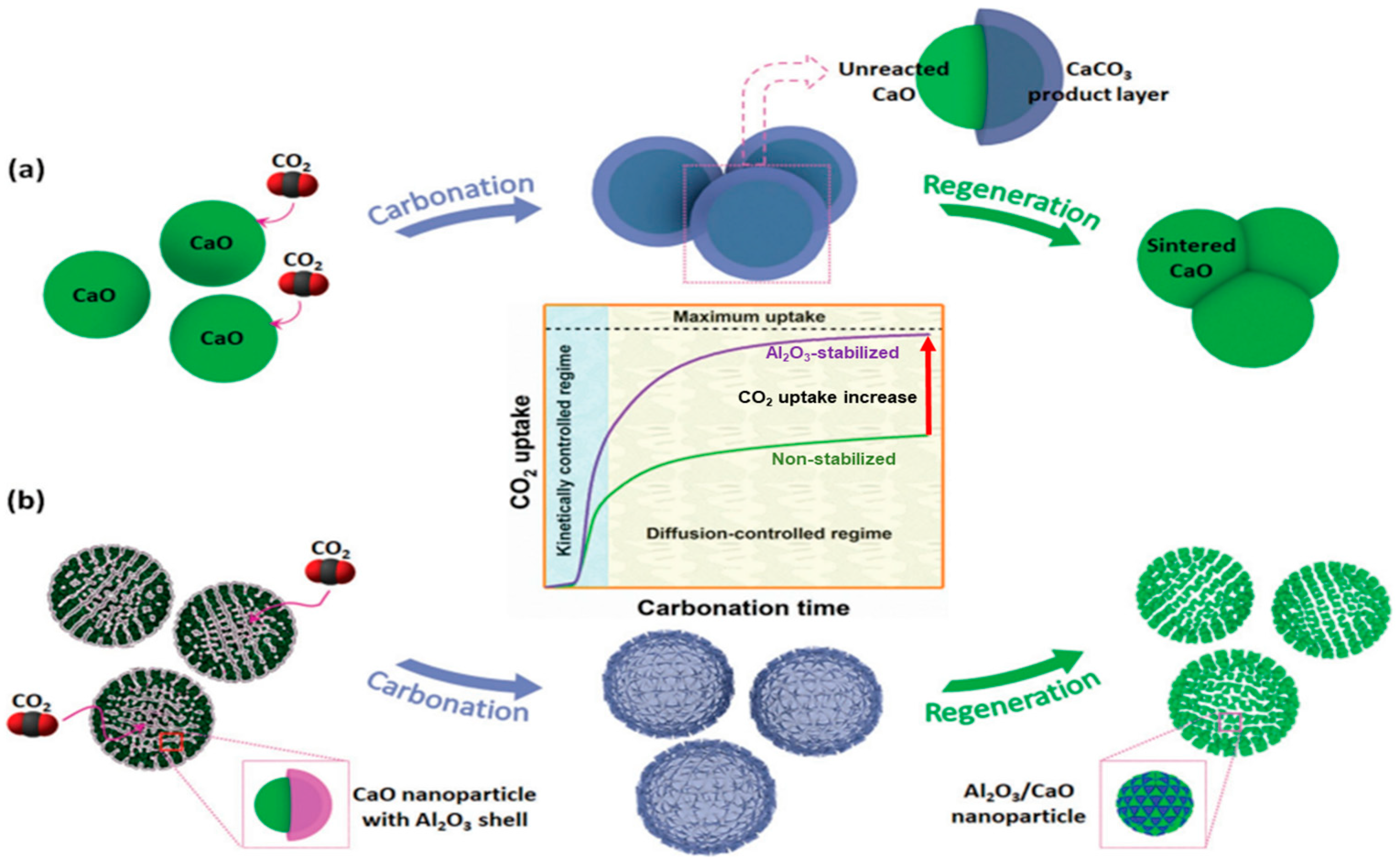 Catalysts 16 00059 g014 Catalysts 16 00059 g014