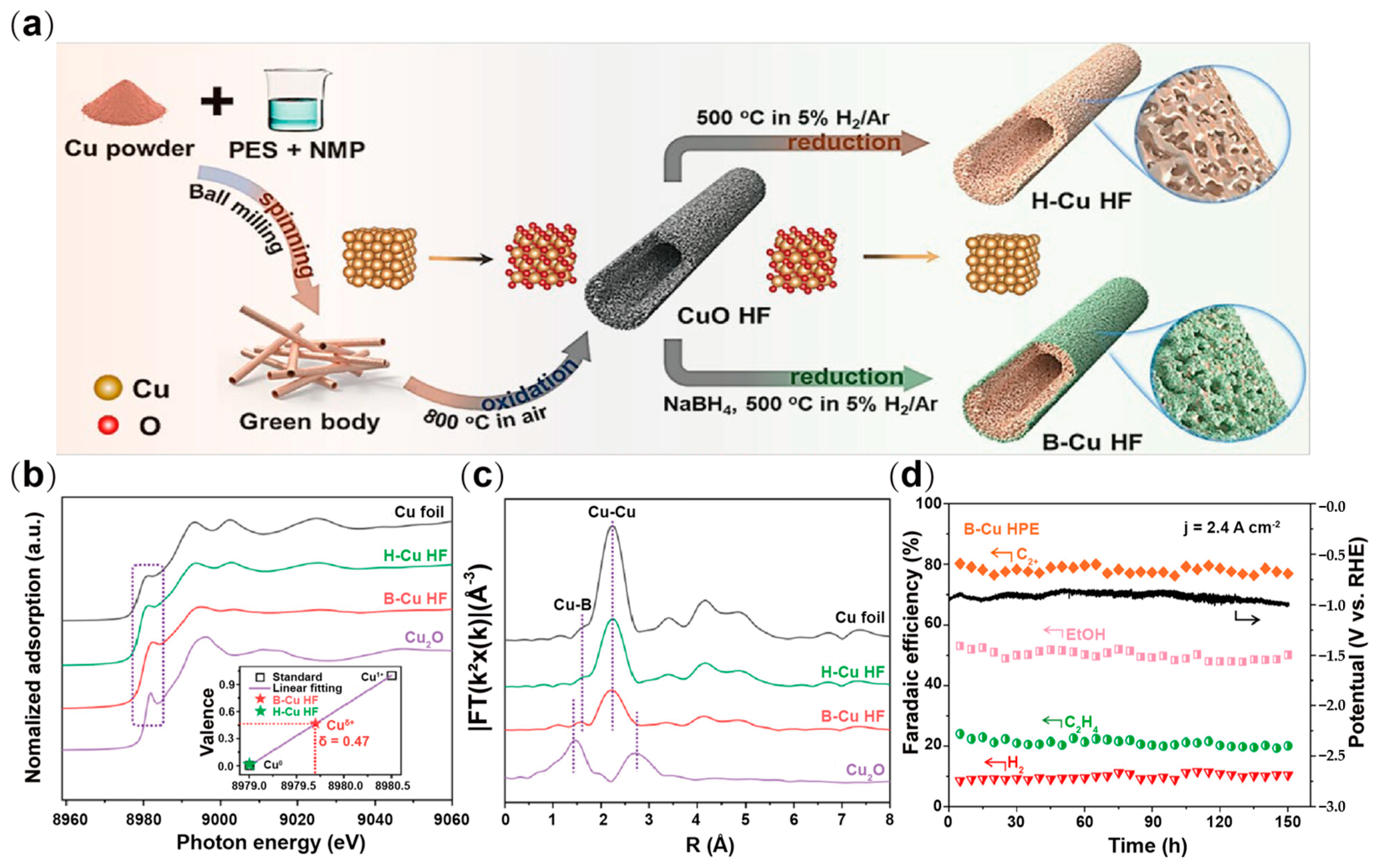 Catalysts 16 00061 g009 Catalysts 16 00061 g009