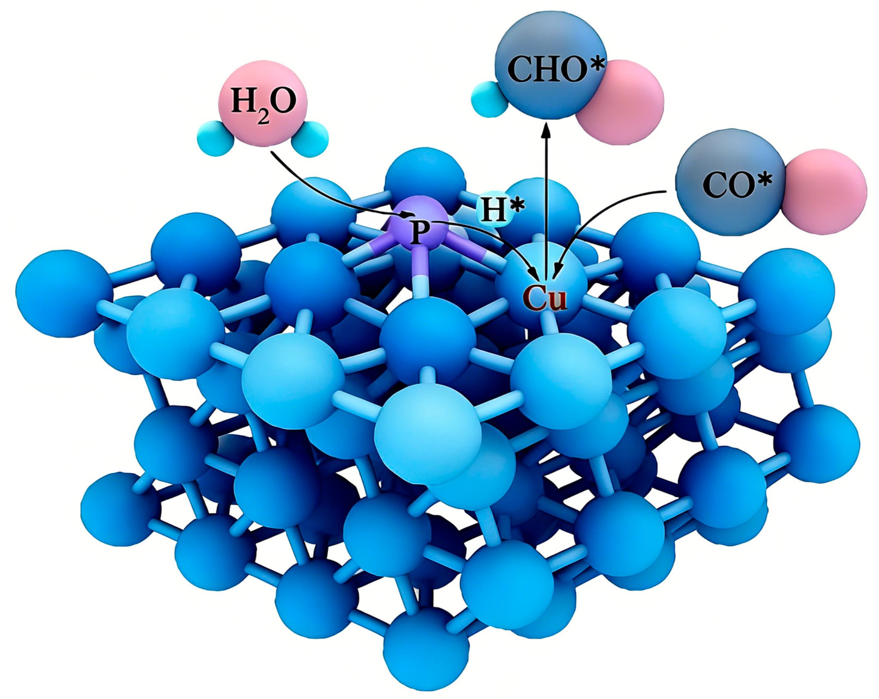 Catalysts 16 00061 g010 Catalysts 16 00061 g010