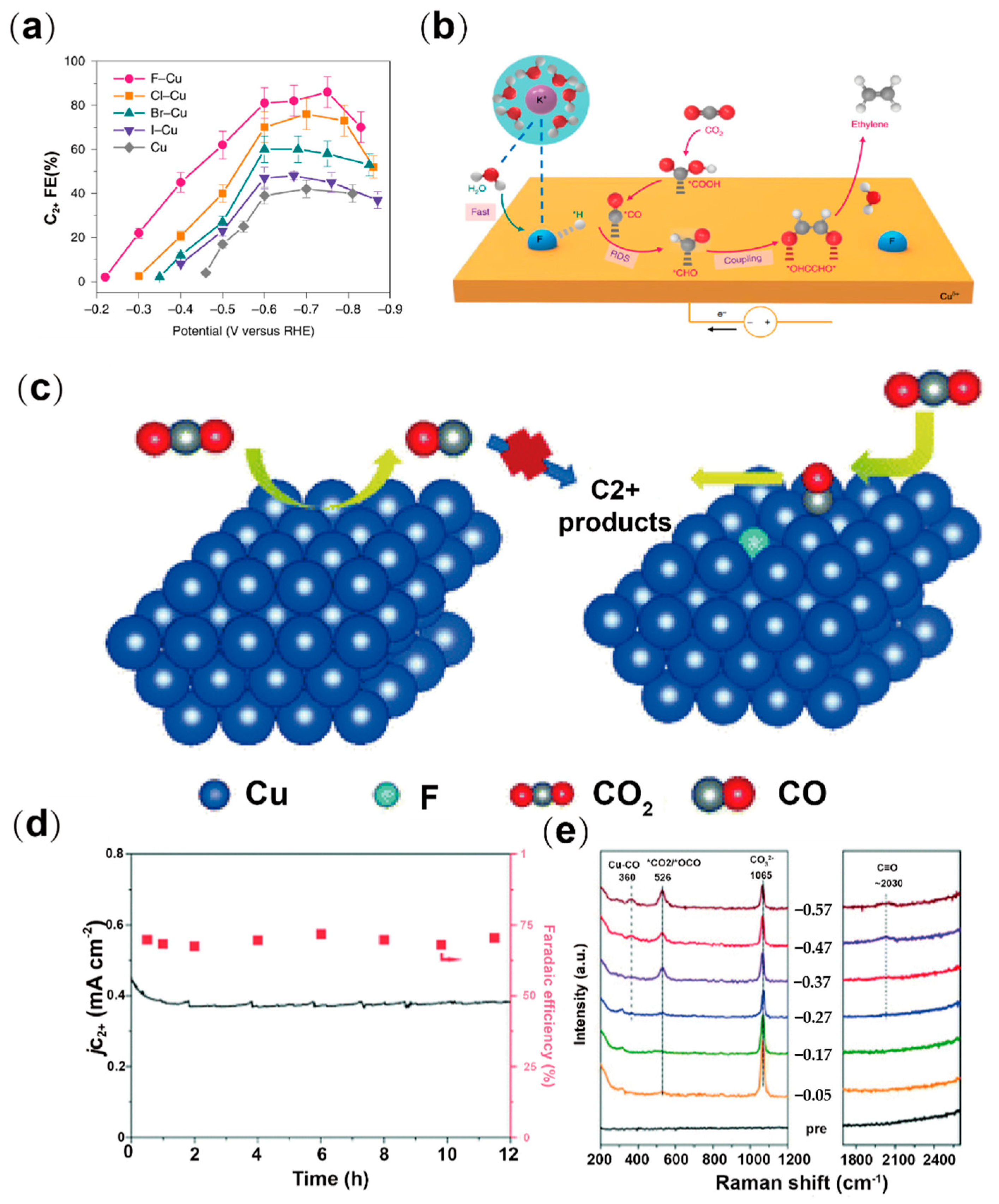 Catalysts 16 00061 g012 Catalysts 16 00061 g012