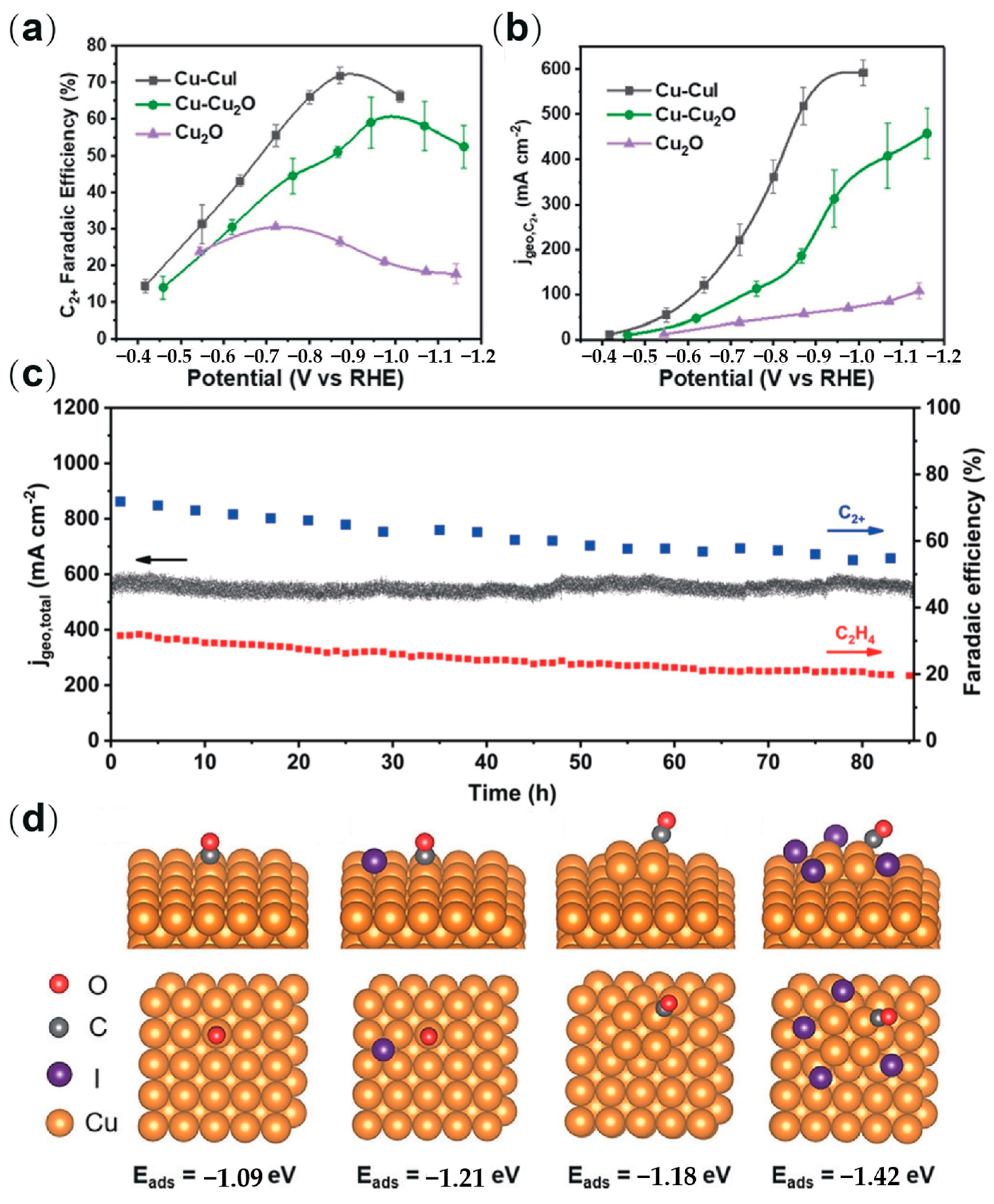 Catalysts 16 00061 g013 Catalysts 16 00061 g013