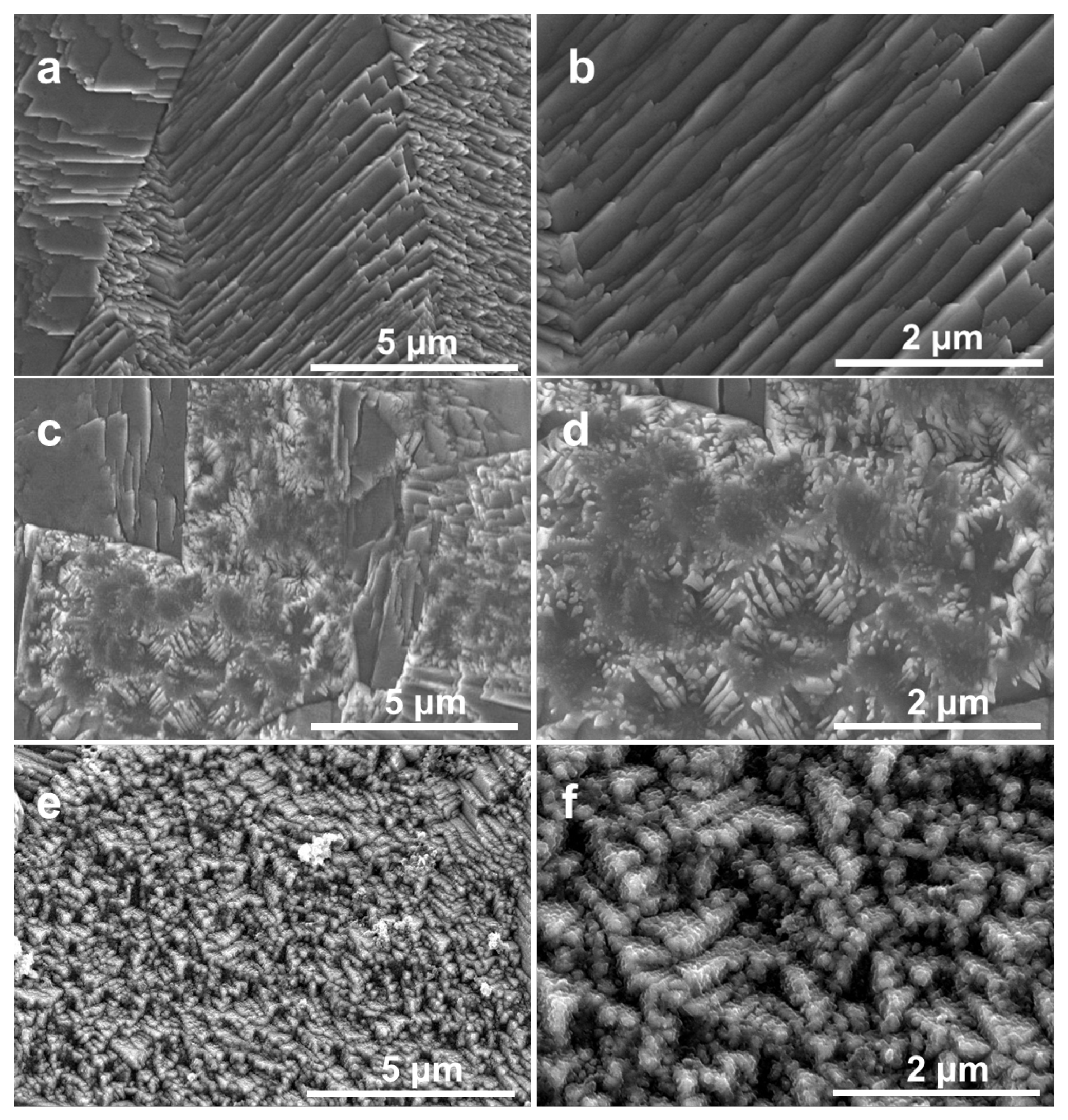 Catalysts 16 00073 g001