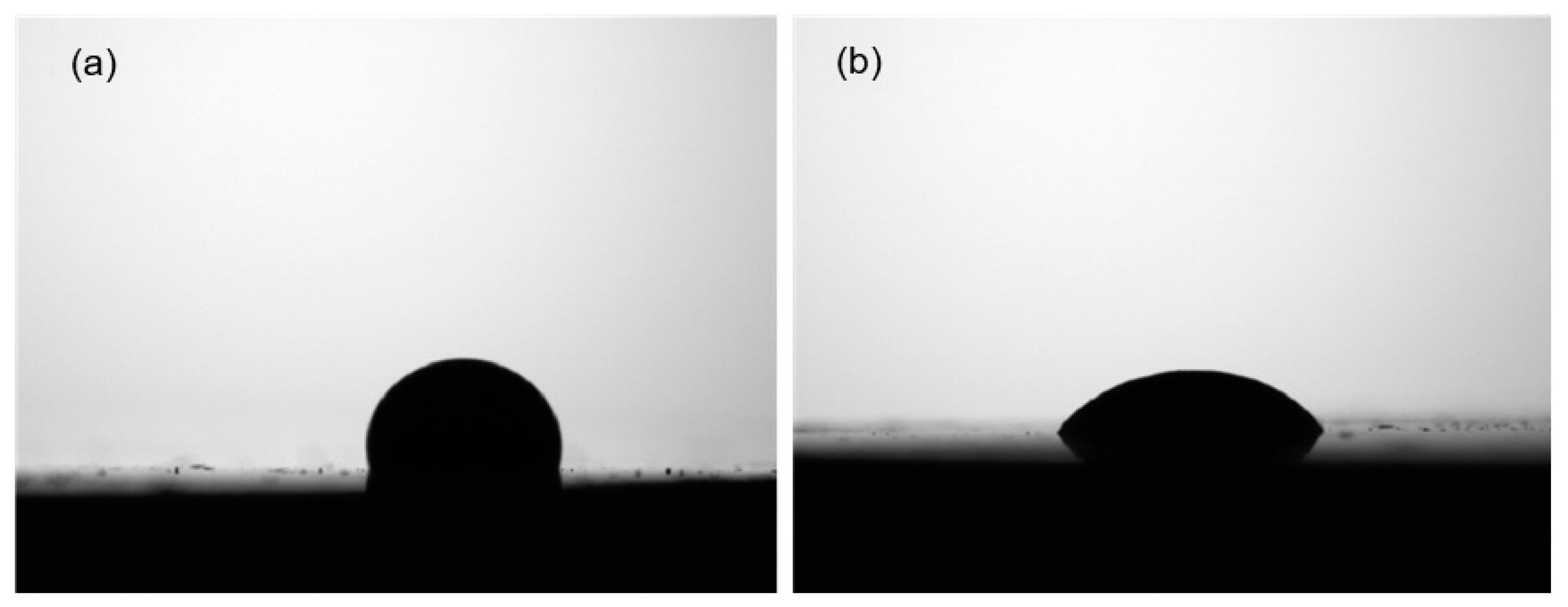 Catalysts 16 00074 g002