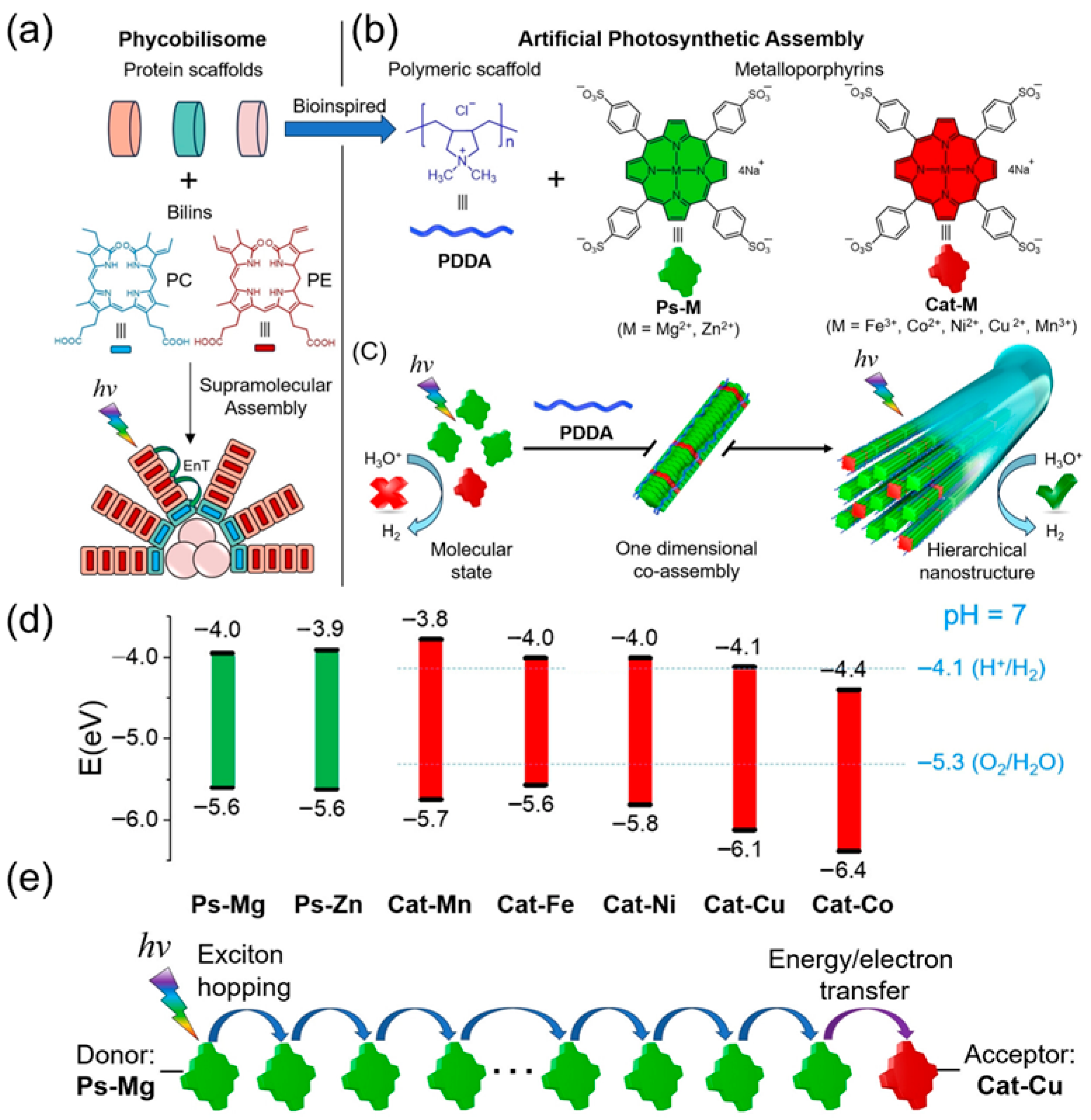 Catalysts 16 00076 g001