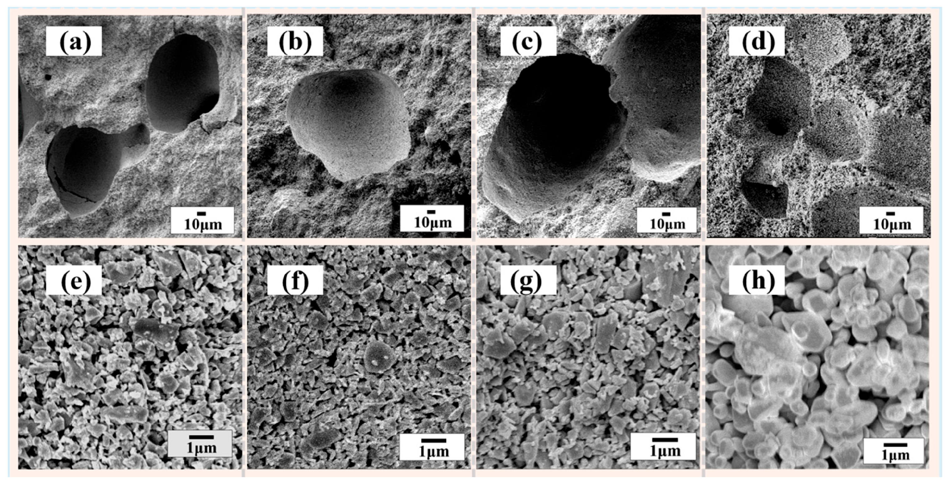 Catalysts 16 00079 g001