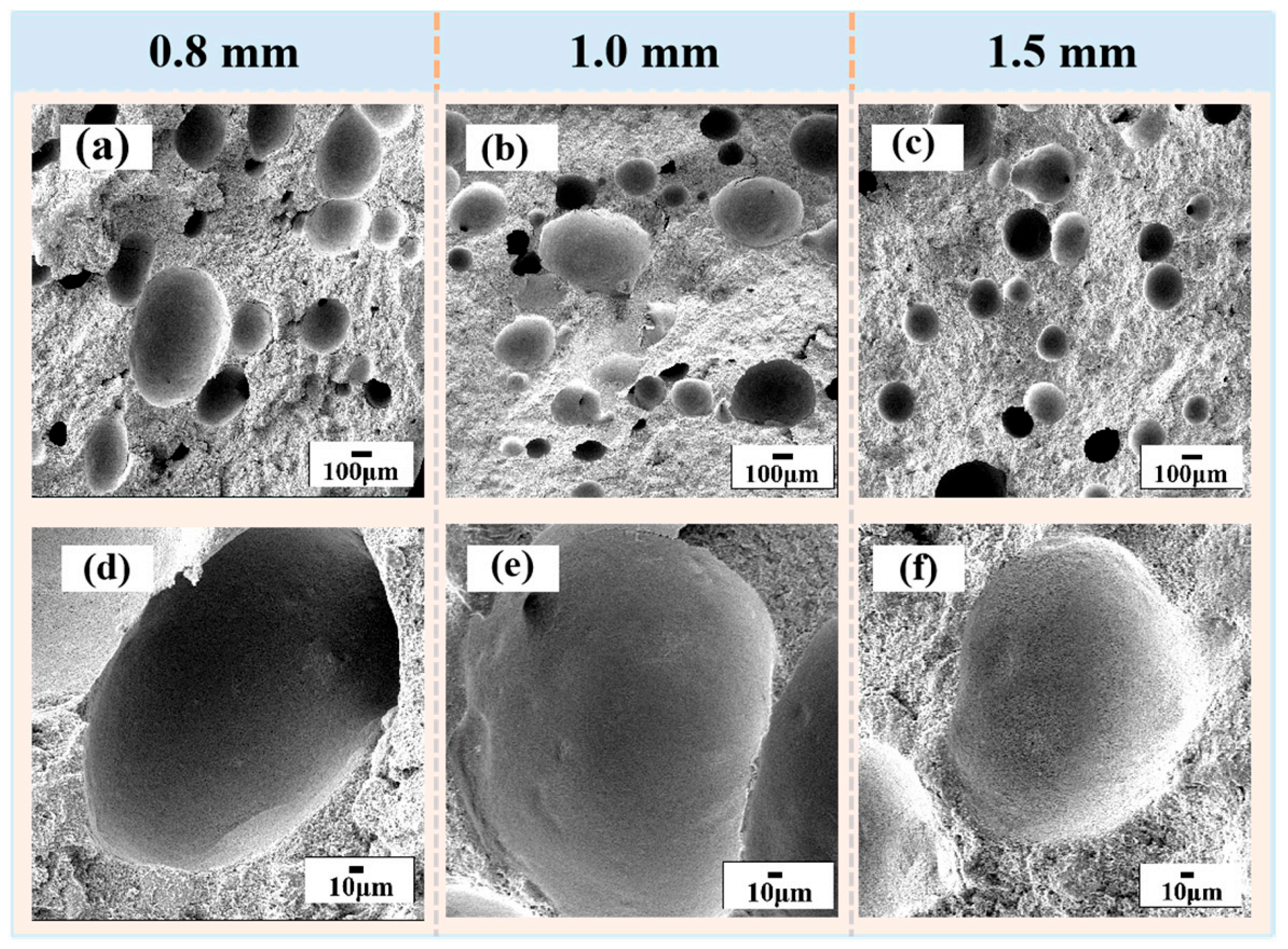 Catalysts 16 00079 g002