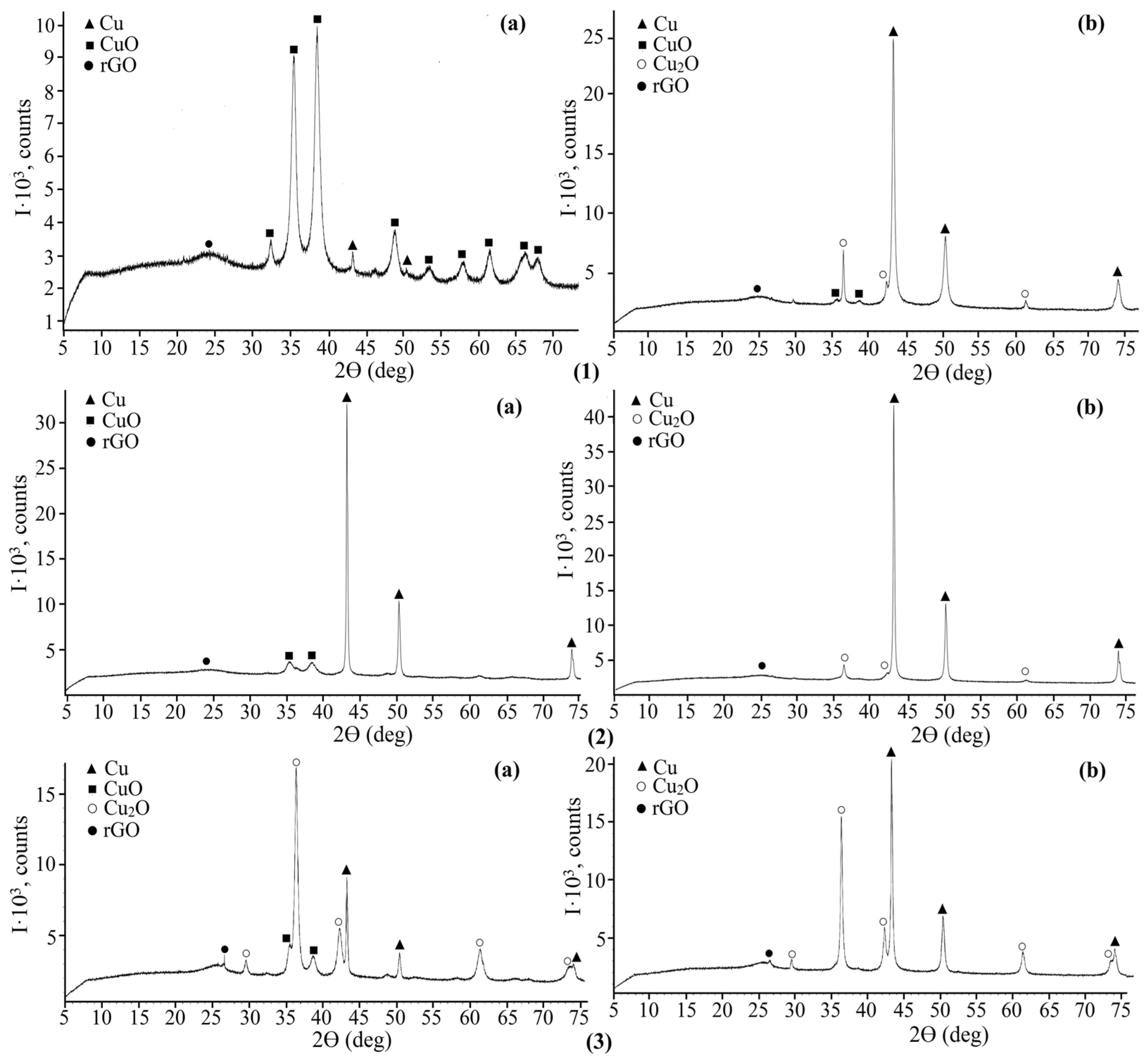 Catalysts 16 00099 g002
