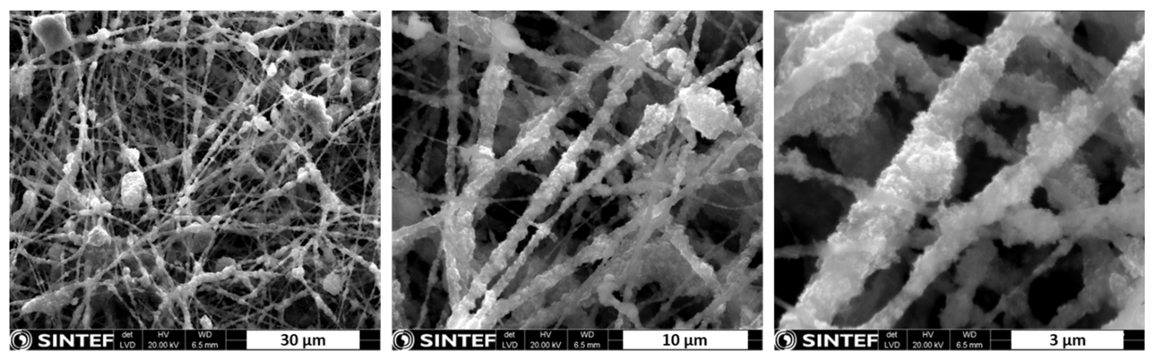 Catalysts 16 00107 g001