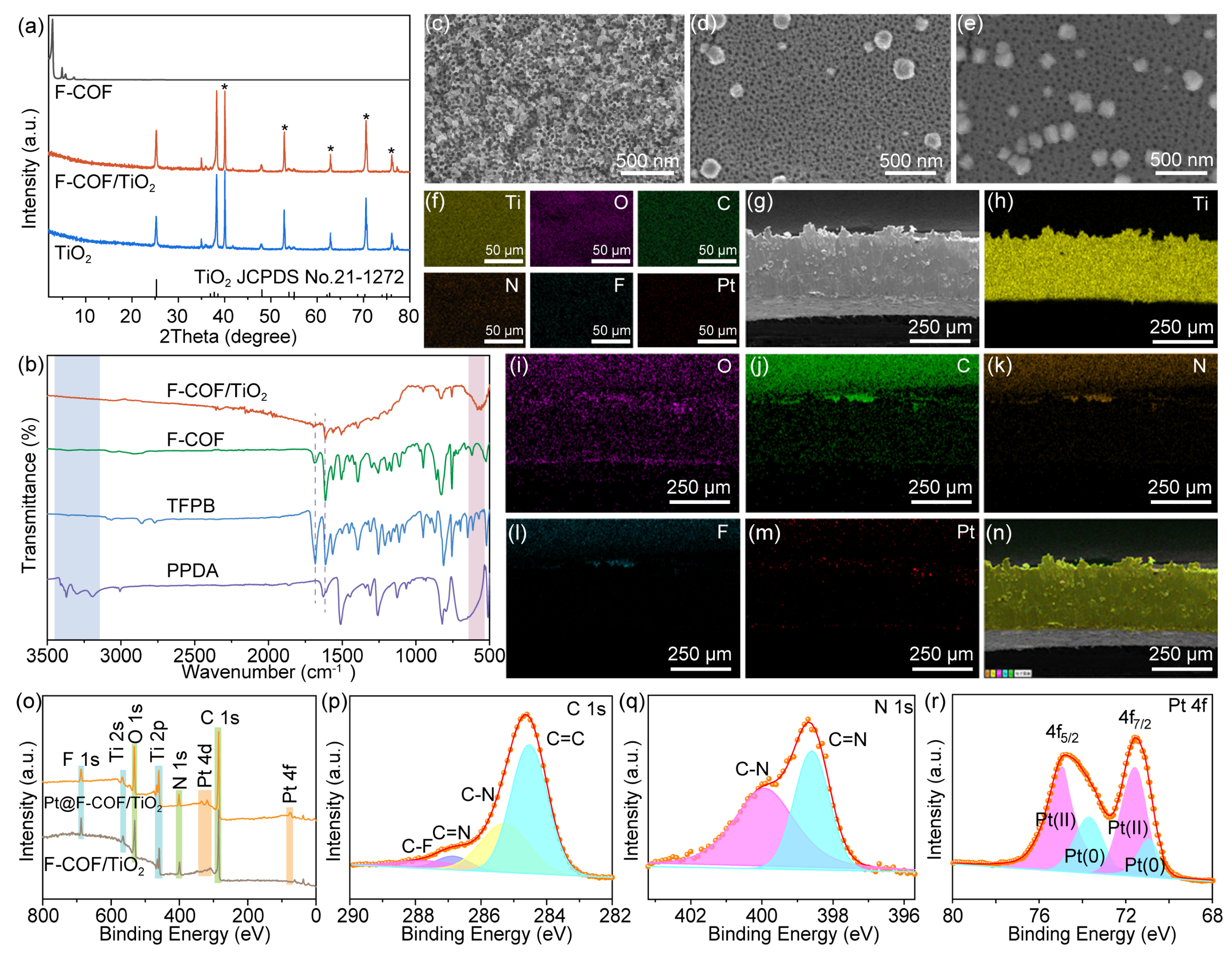 Catalysts 16 00108 g002