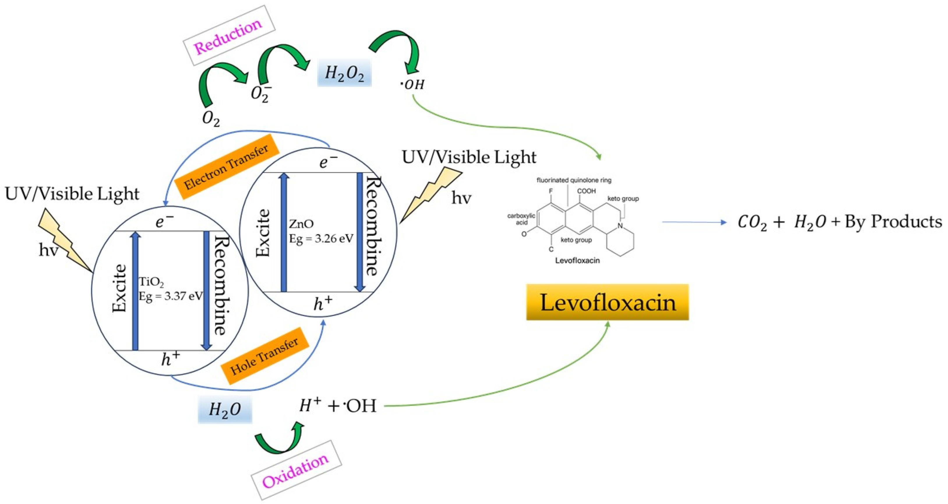 Catalysts 16 00109 g001 Catalysts 16 00109 g001