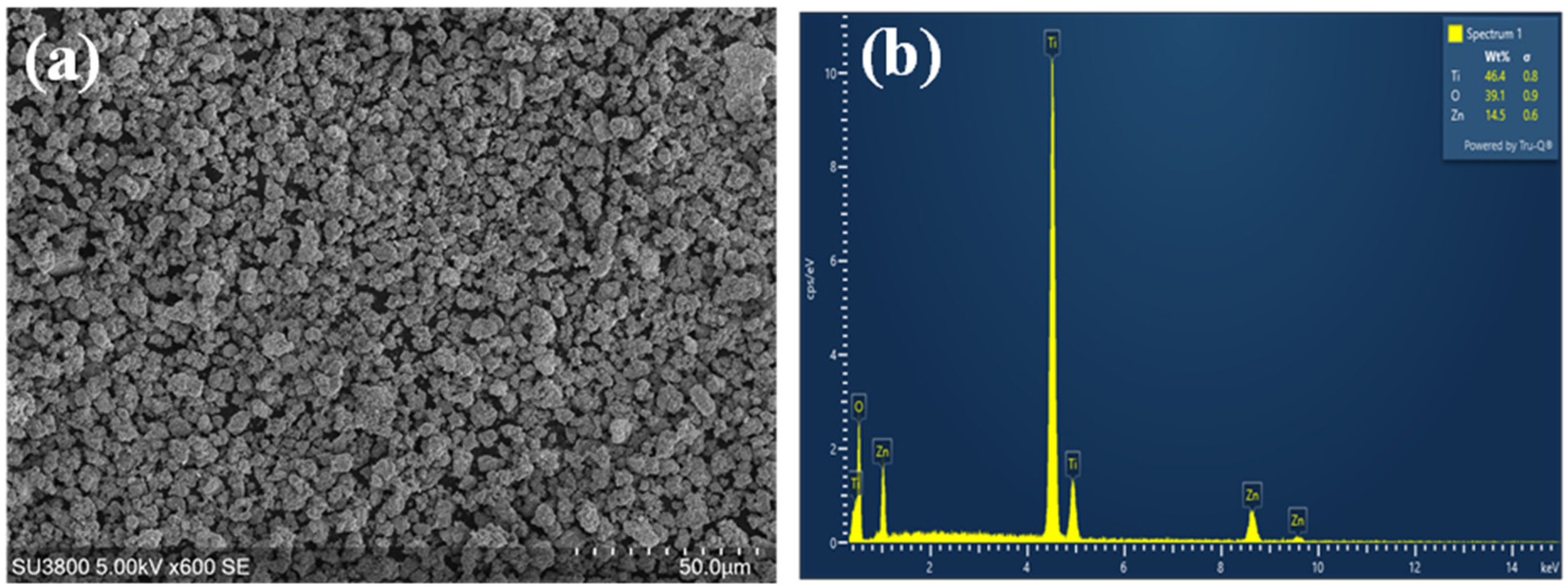 Catalysts 16 00109 g007 Catalysts 16 00109 g007