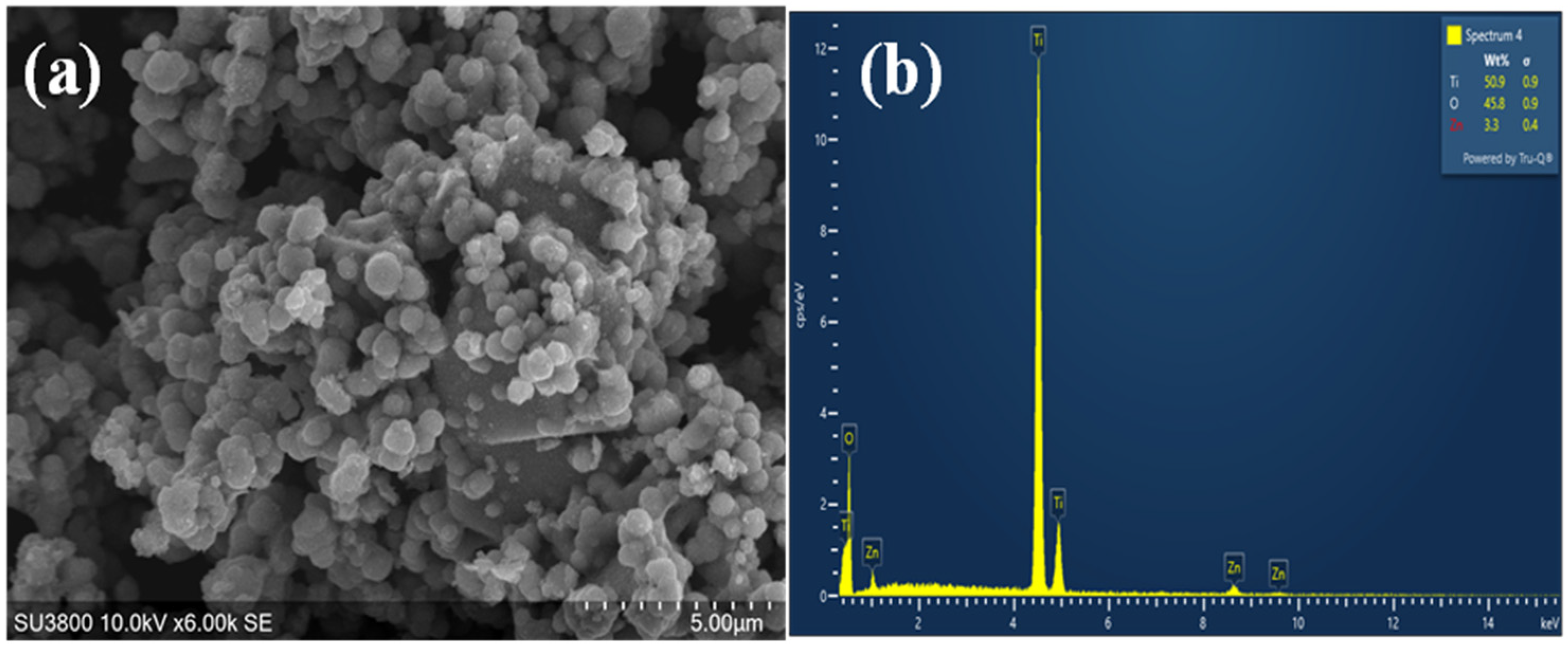 Catalysts 16 00109 g008 Catalysts 16 00109 g008