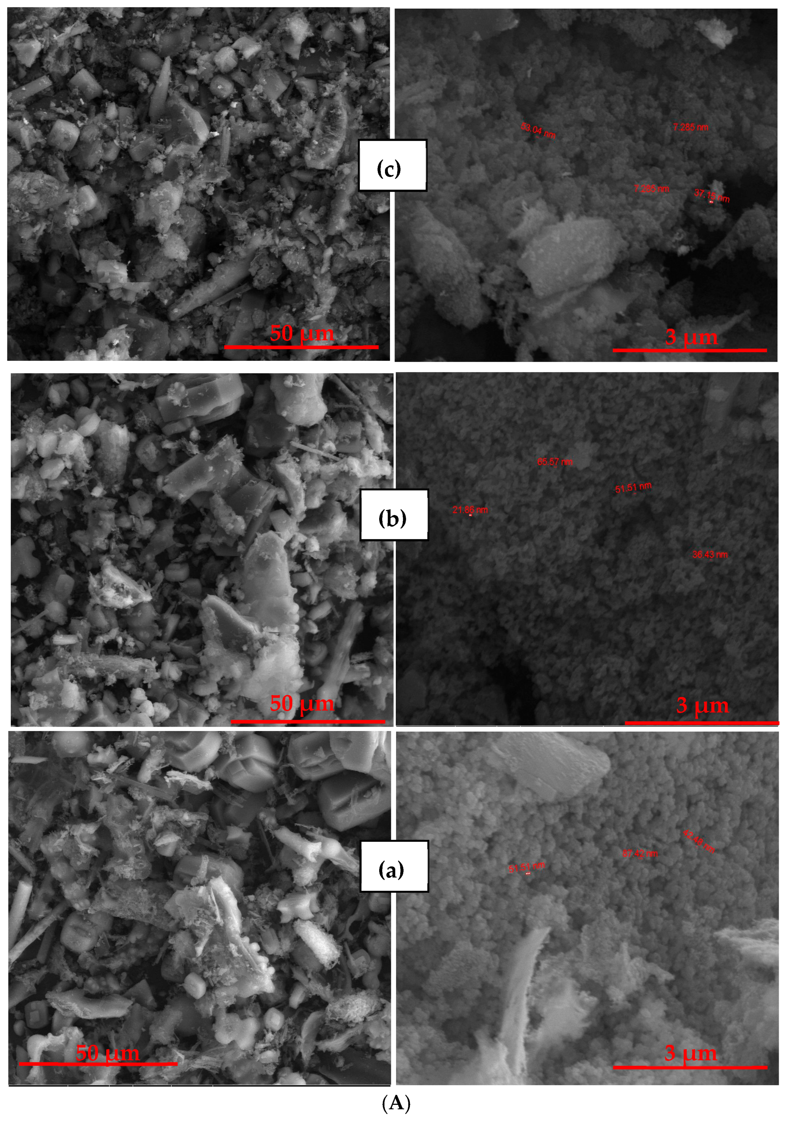 Catalysts 16 00110 g004a Catalysts 16 00110 g004a