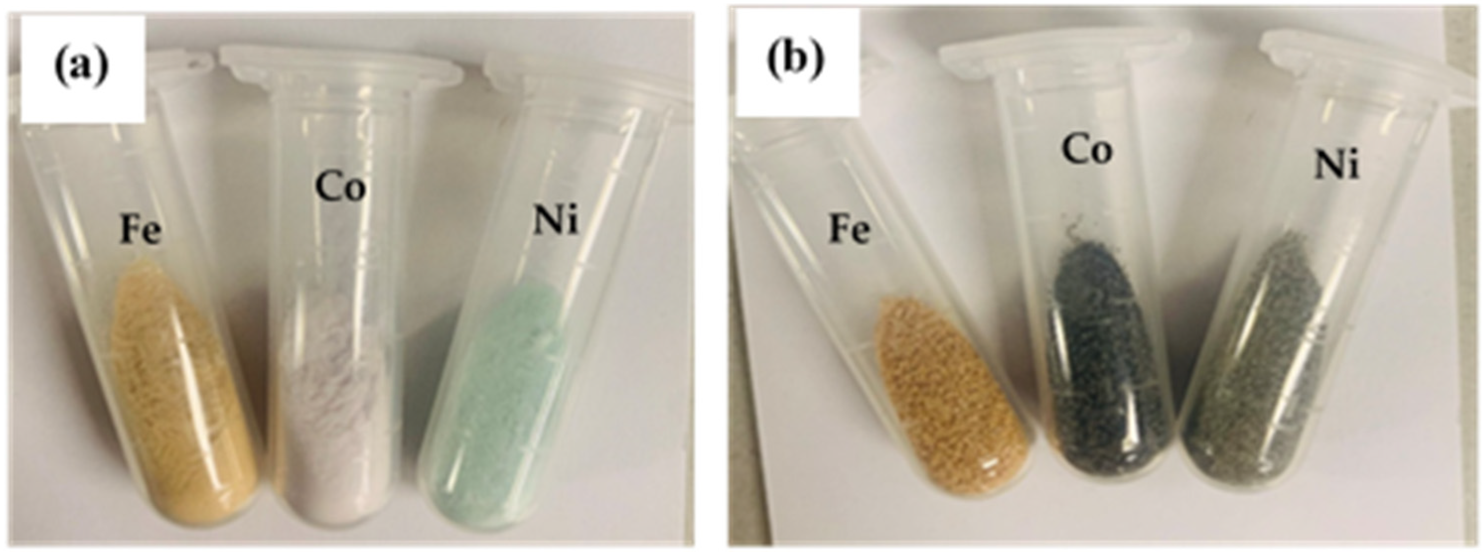 Catalysts 16 00111 g001 Catalysts 16 00111 g001