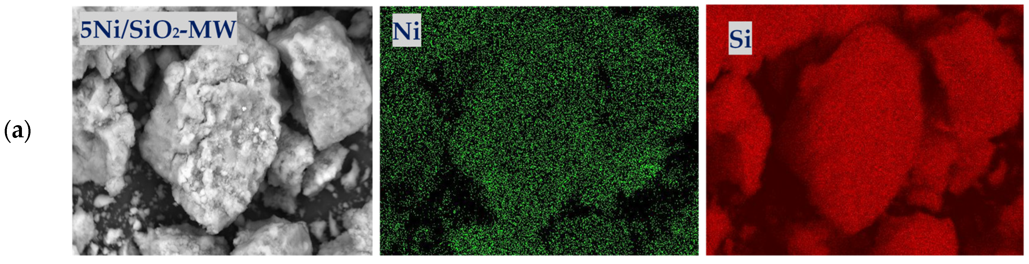 Catalysts 16 00111 g006a Catalysts 16 00111 g006a