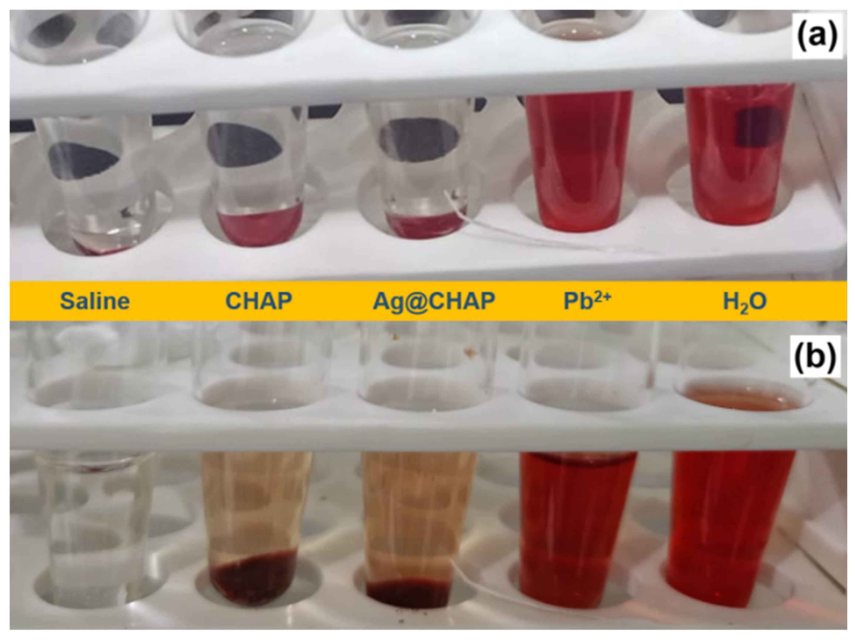 Catalysts 16 00124 g014 Catalysts 16 00124 g014