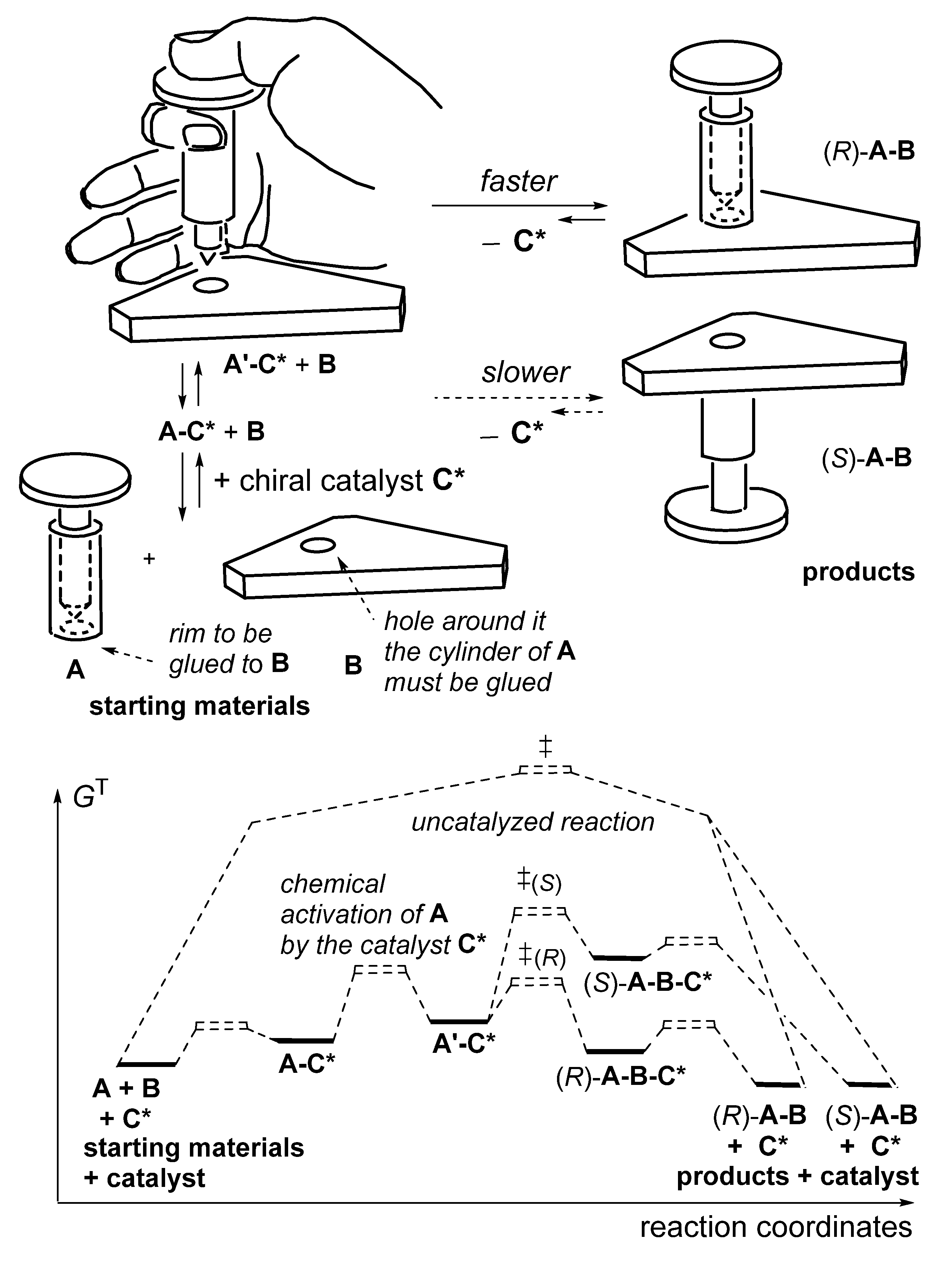 Catalysts 16 00131 g002