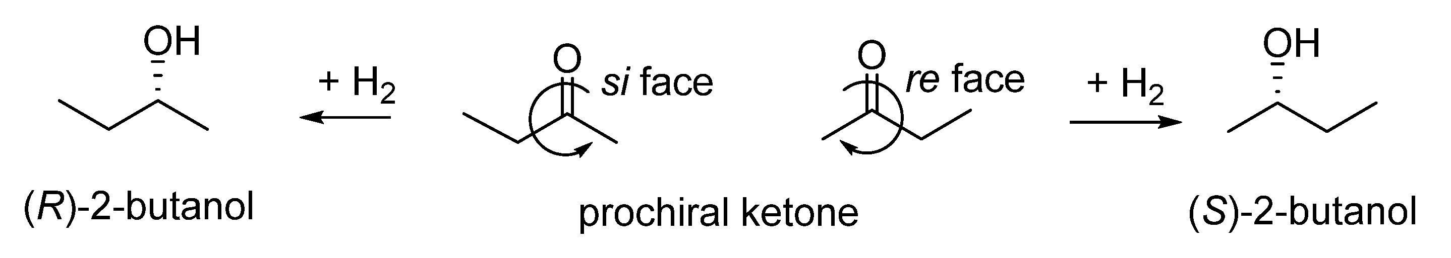 Catalysts 16 00131 g003
