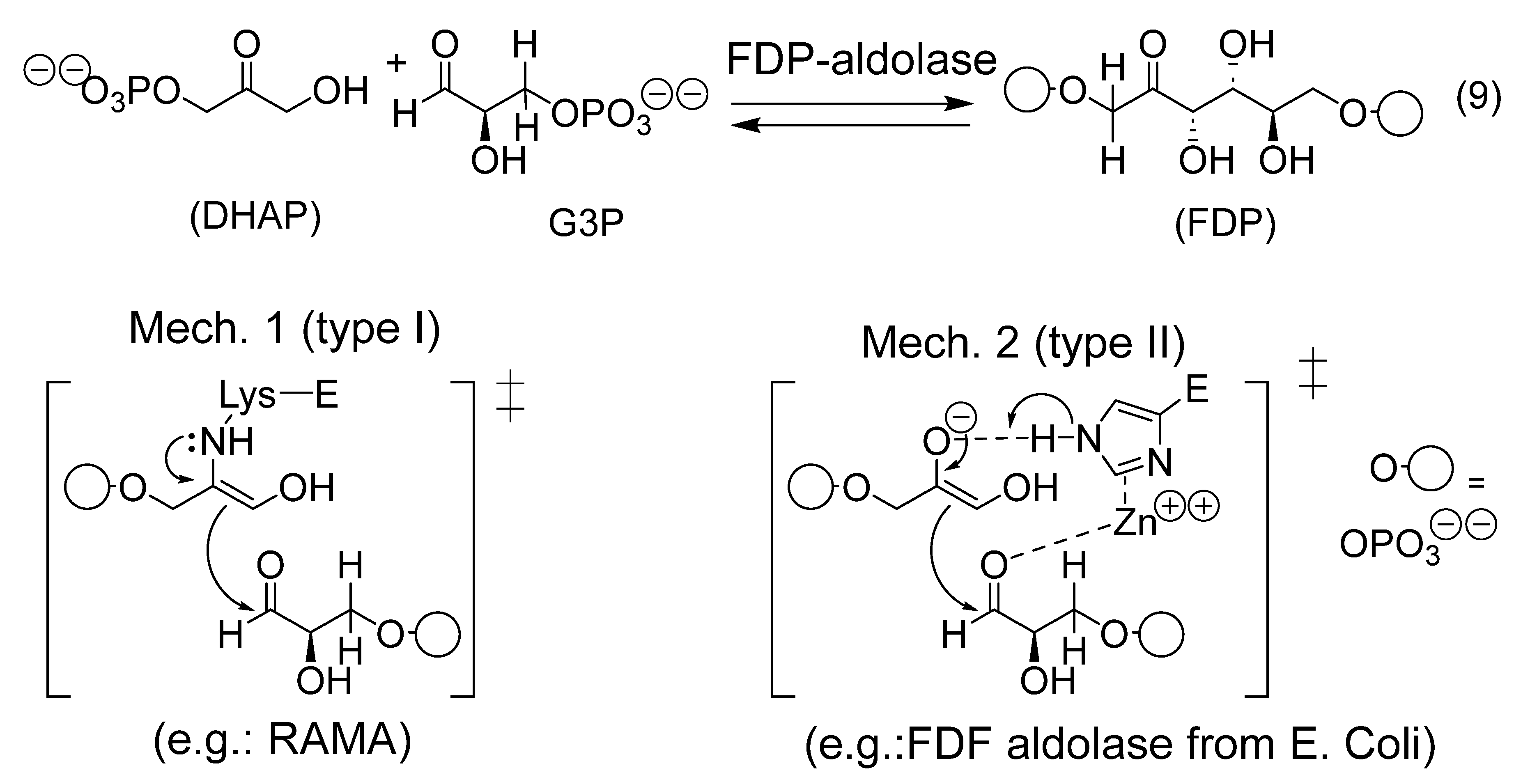 Catalysts 16 00131 g005
