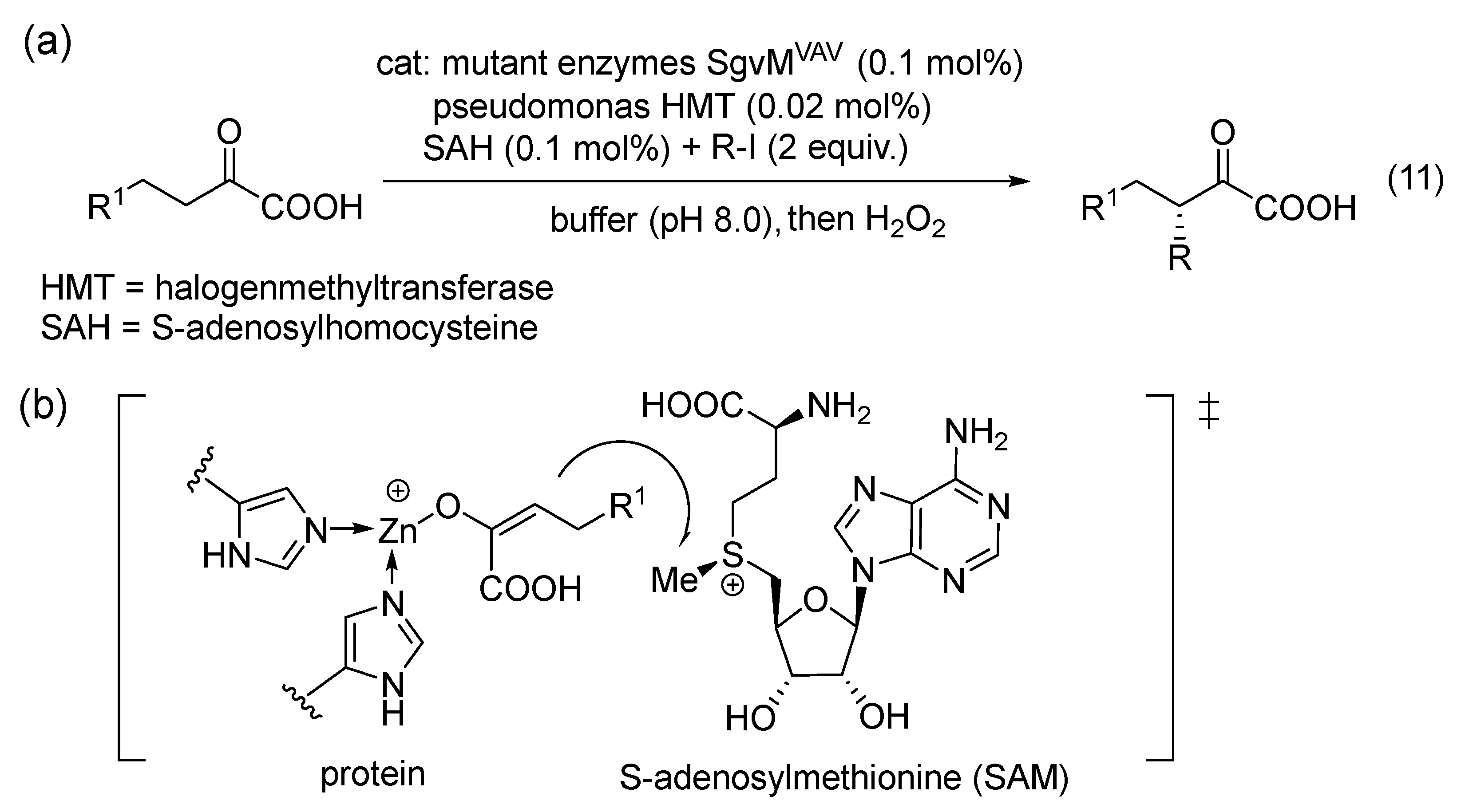 Catalysts 16 00131 g007