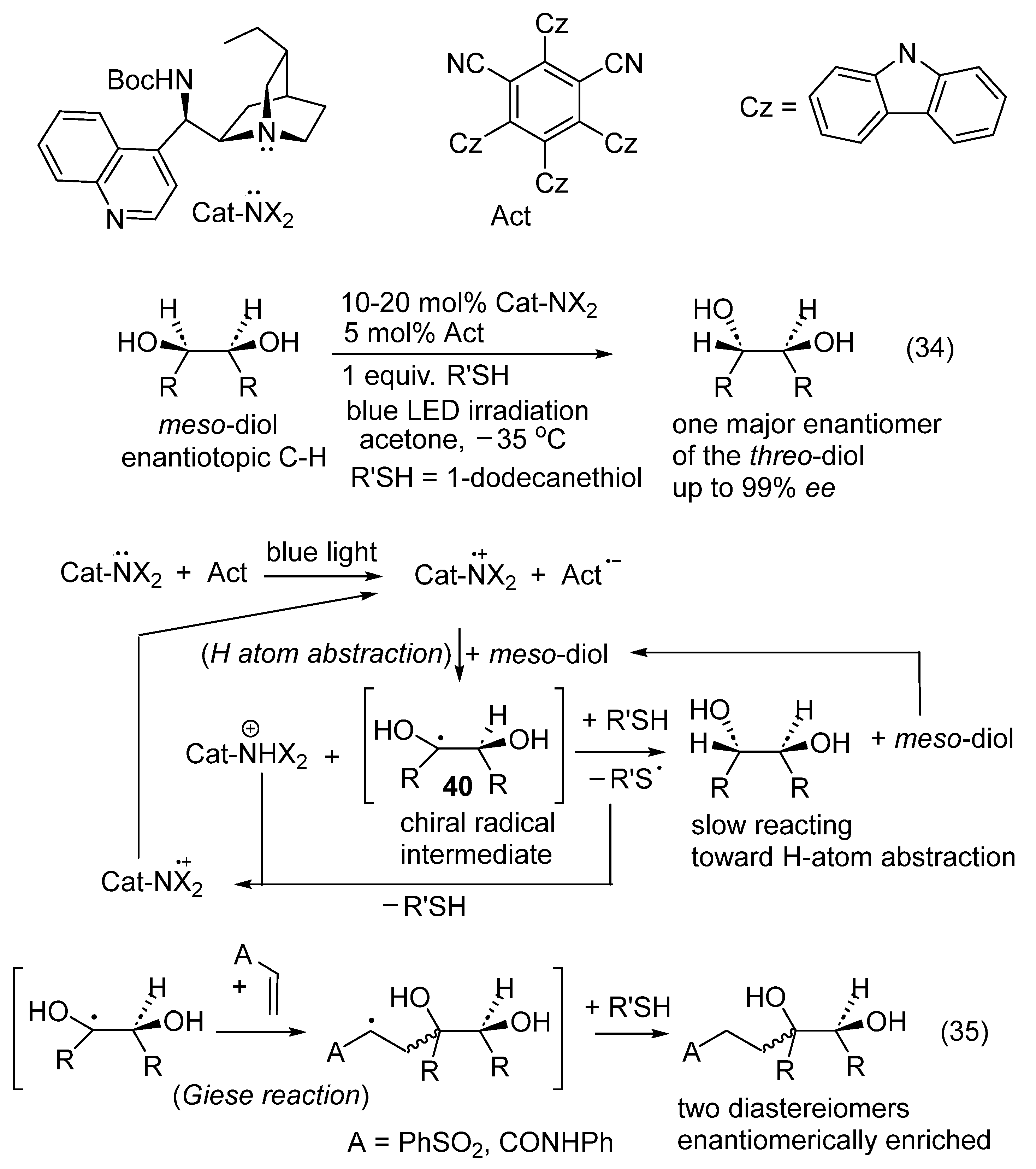 Catalysts 16 00131 g021
