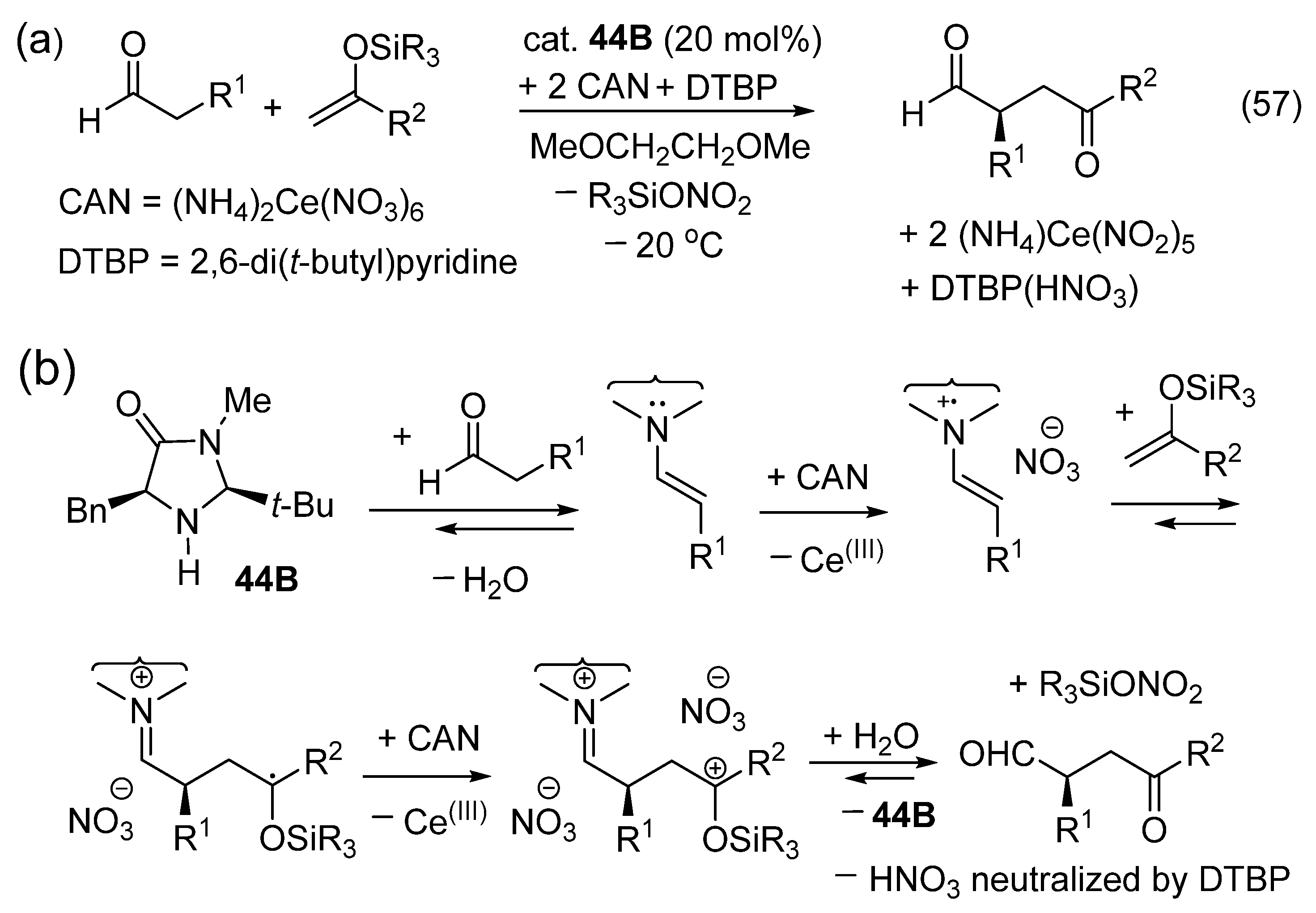 Catalysts 16 00131 g032