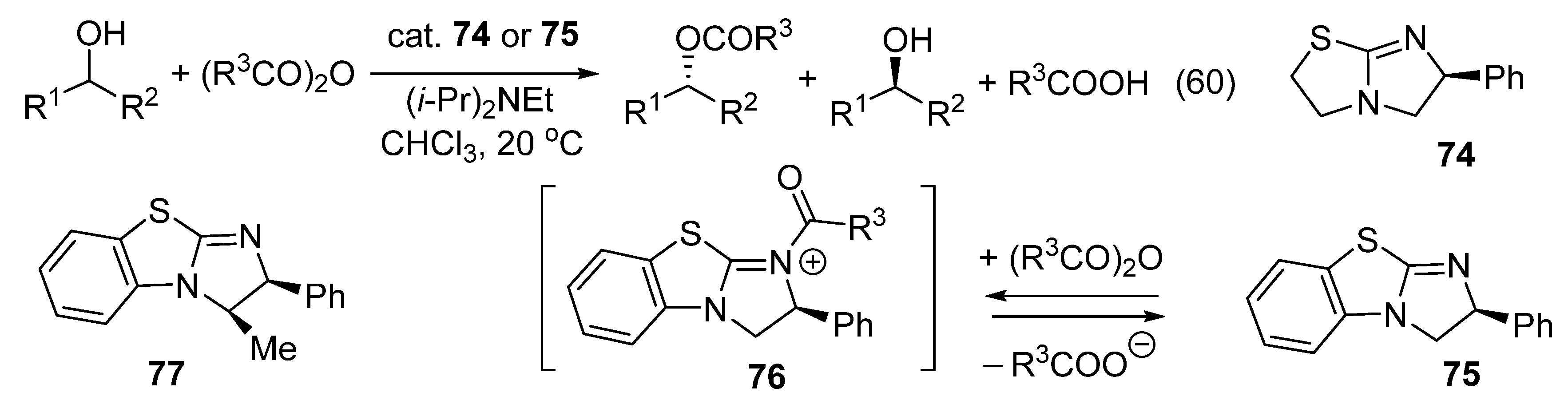 Catalysts 16 00131 g035